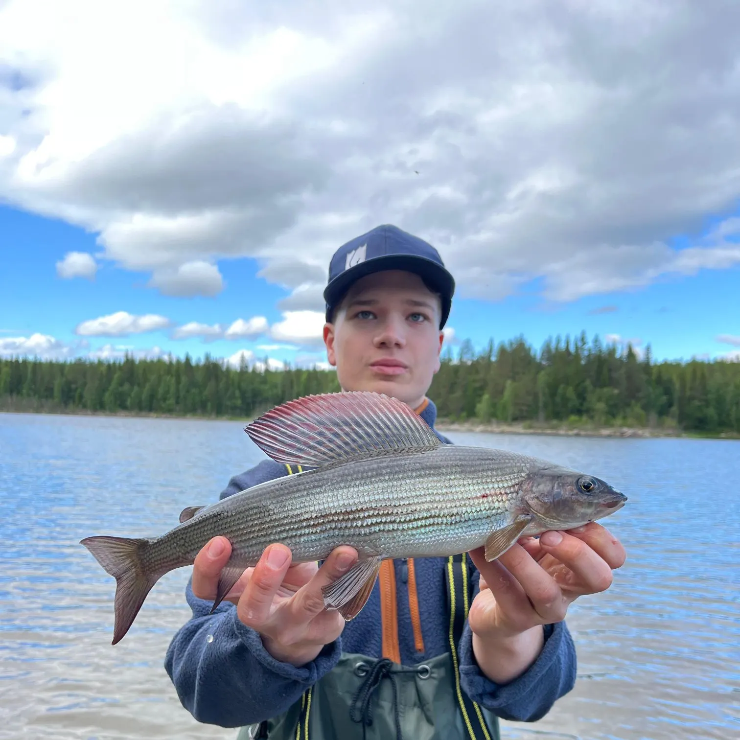 The most recent European grayling catches on Fishbrain
