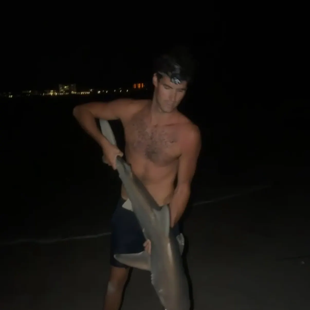 The most recent Sandbar shark catches on Fishbrain