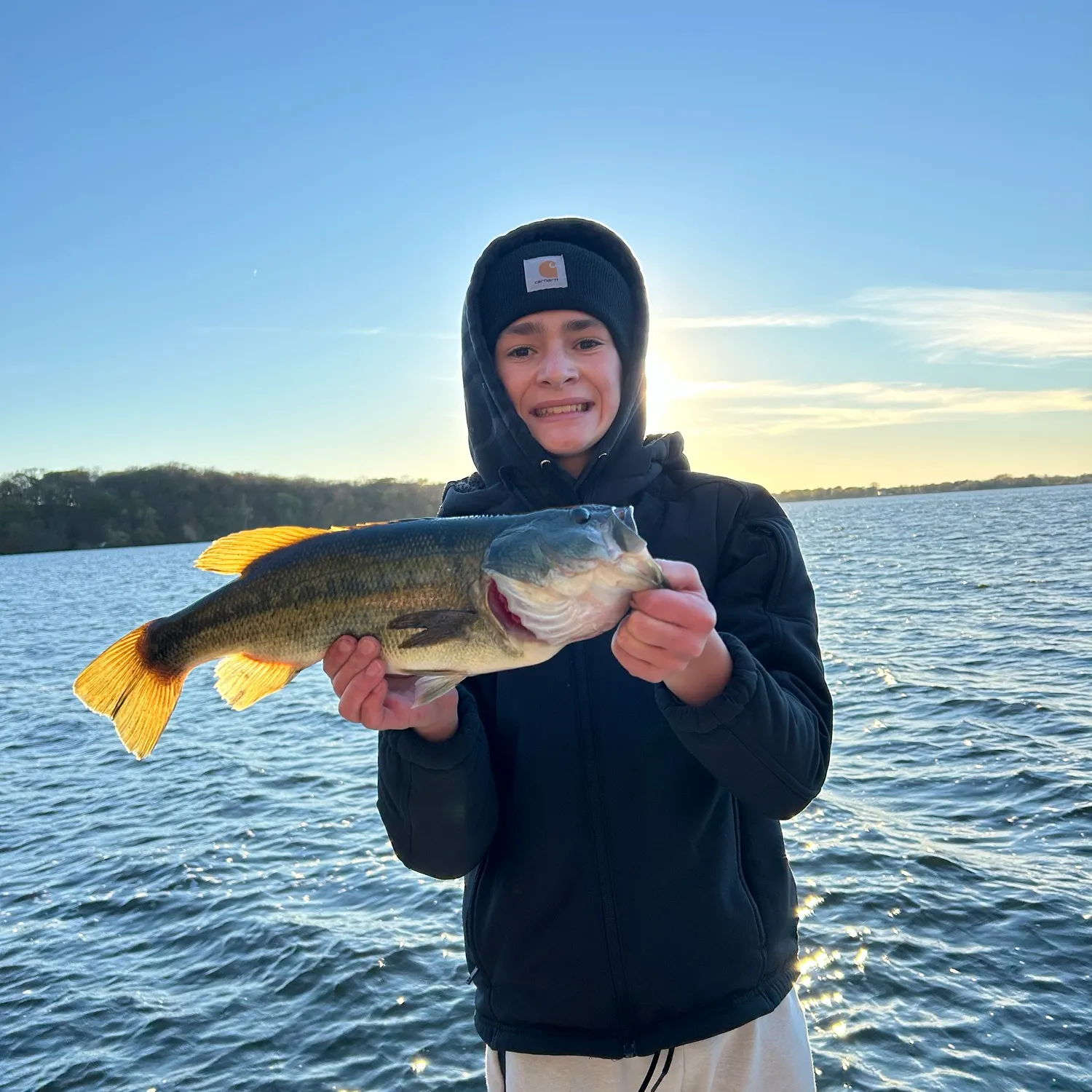 Largemouth bass caught on Fishbrain