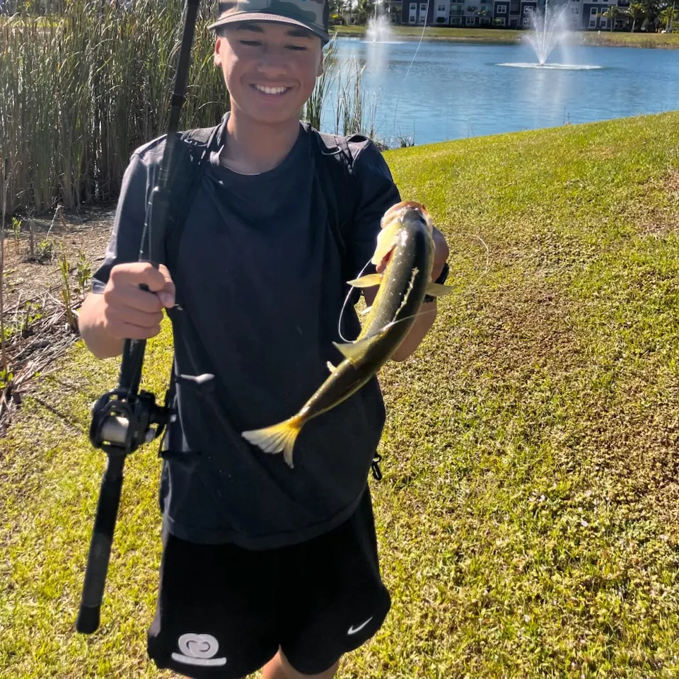 The most recent Florida bass catches on Fishbrain