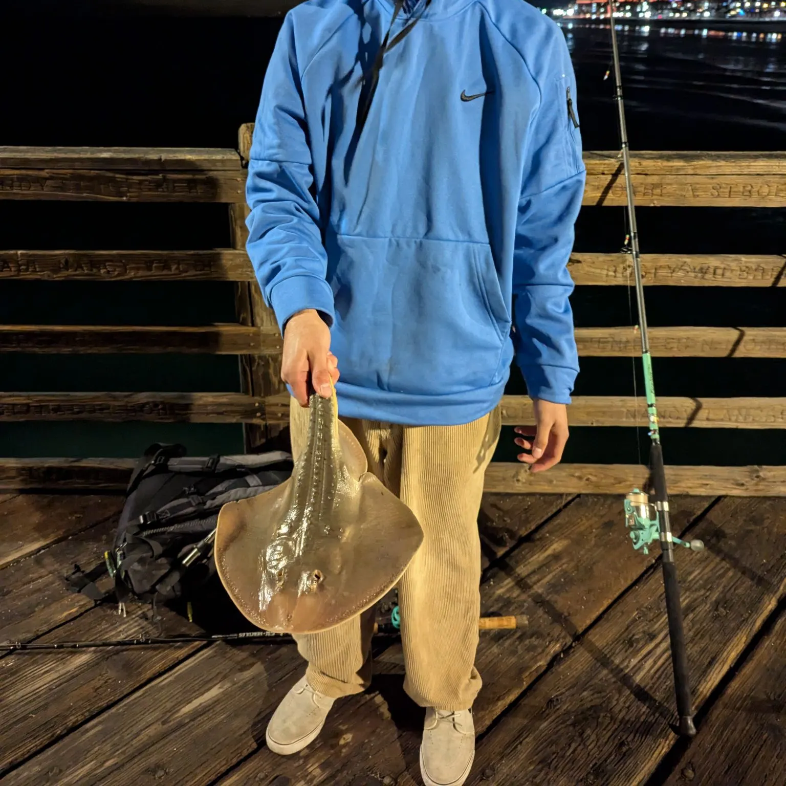 The most recent Common guitarfish catches on Fishbrain