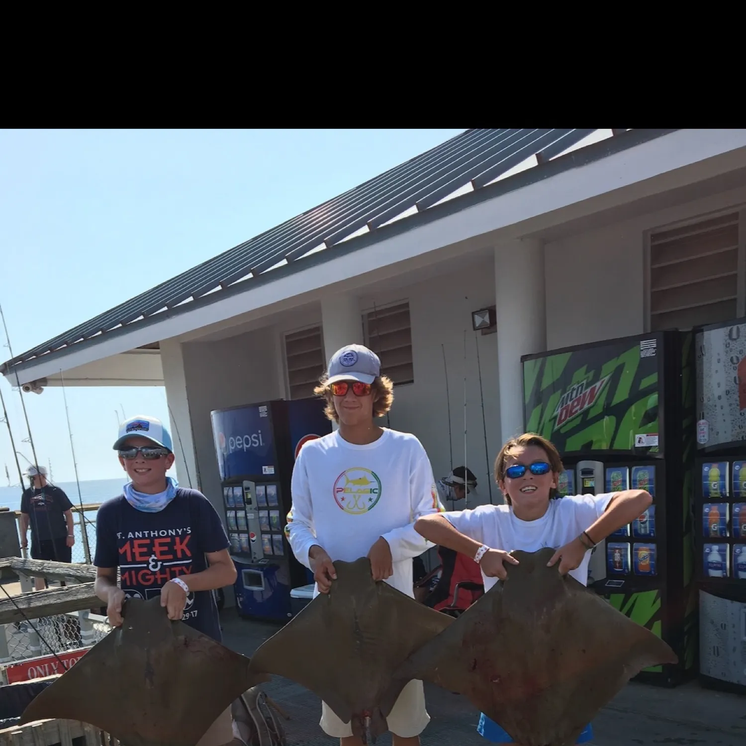 The most recent Cownose Ray catches on Fishbrain