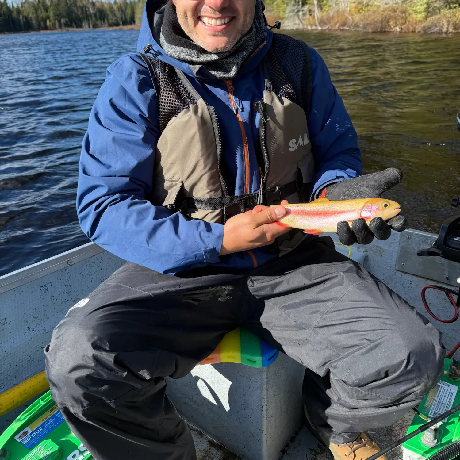 Golden rainbow trout caught on Fishbrain
