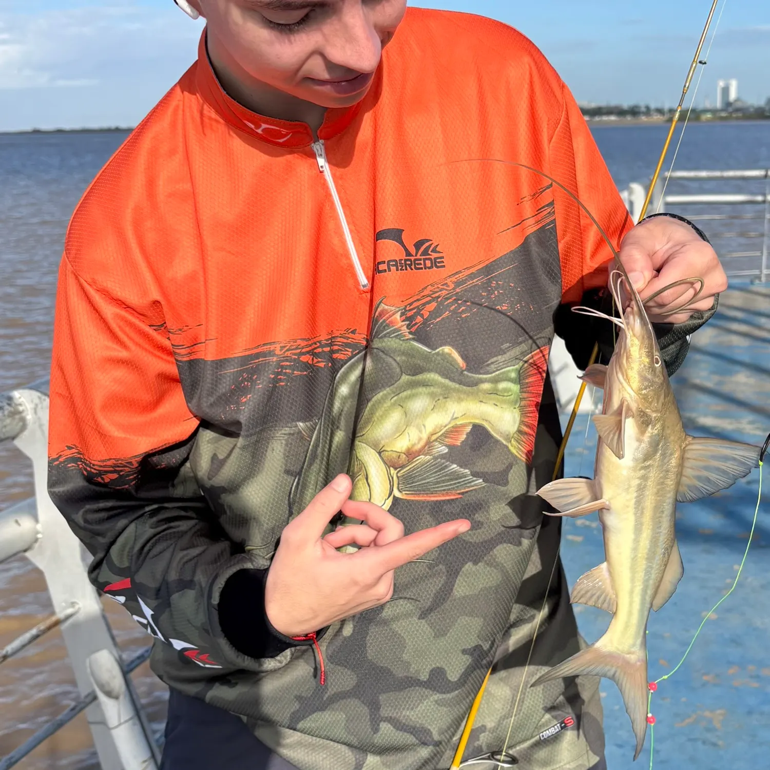 The most recent White pimelodus catches on Fishbrain
