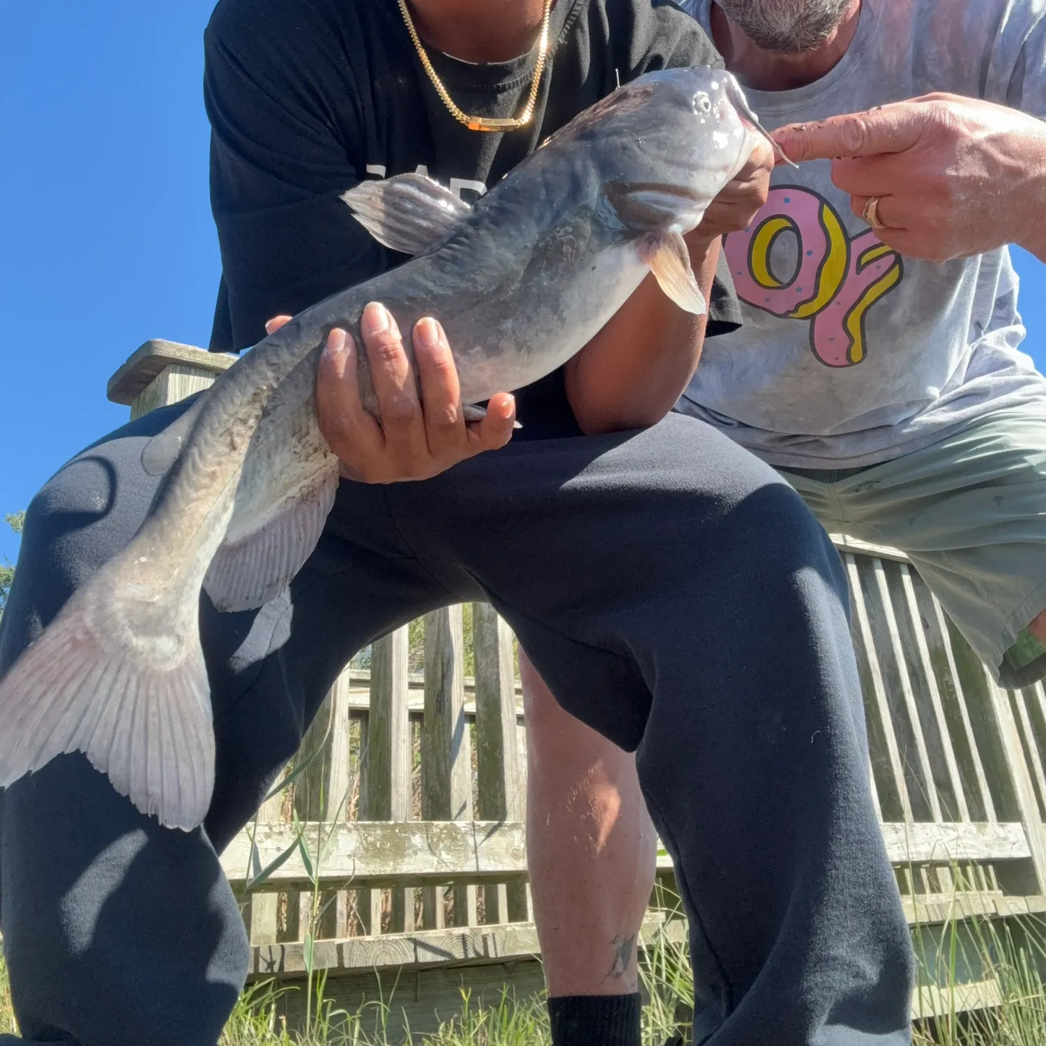 Fish caught on Fishbrain