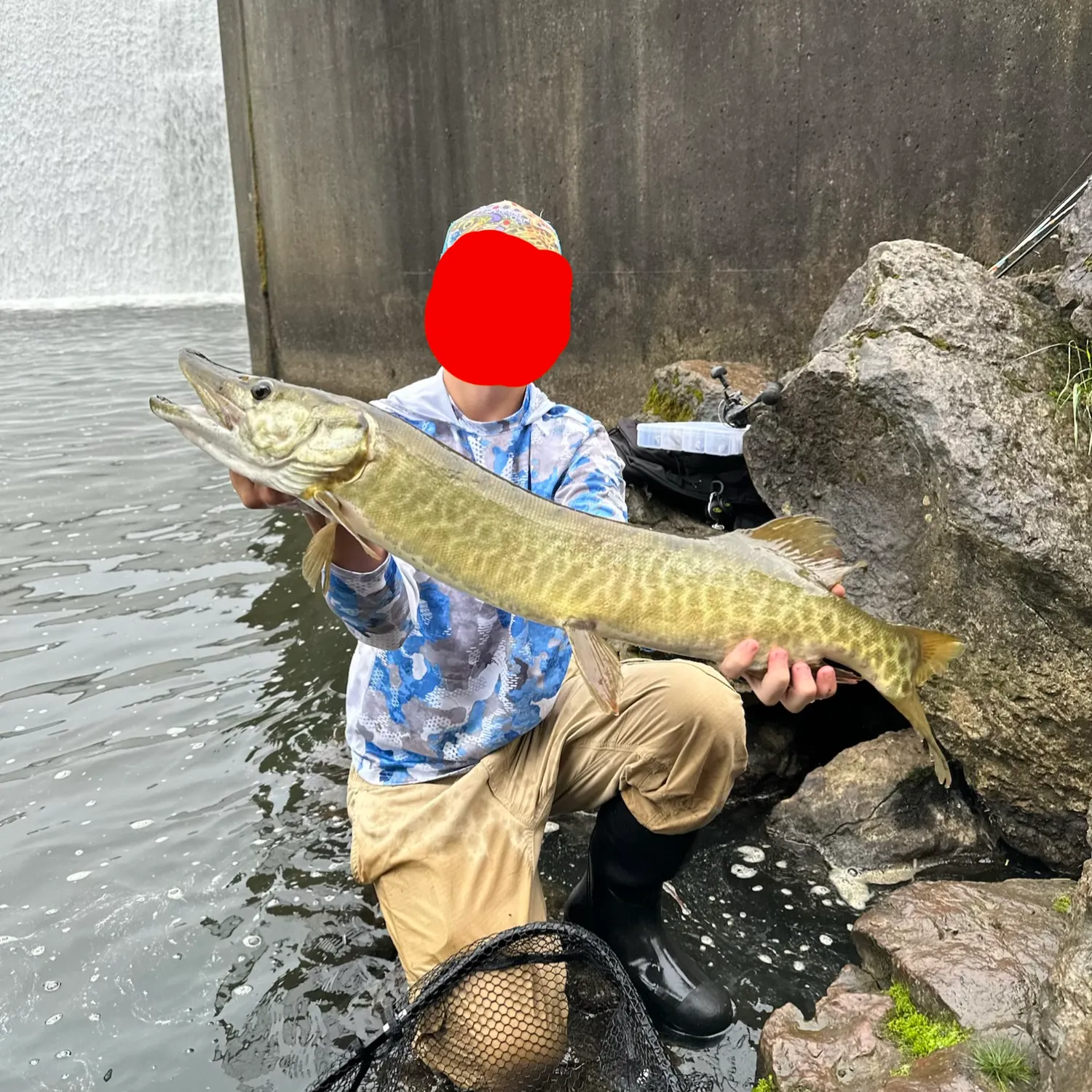 Muskie caught on Fishbrain