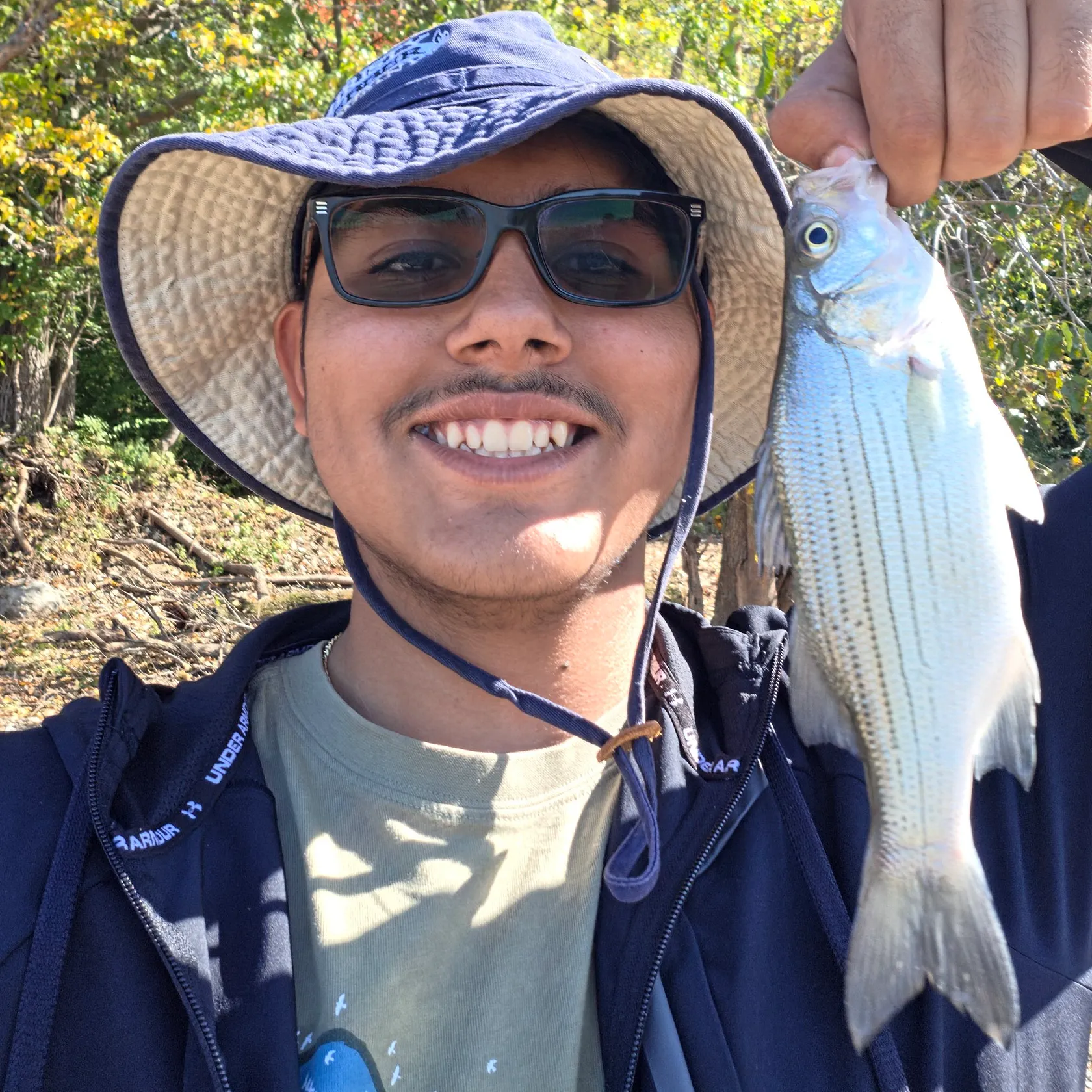 White bass caught on Fishbrain