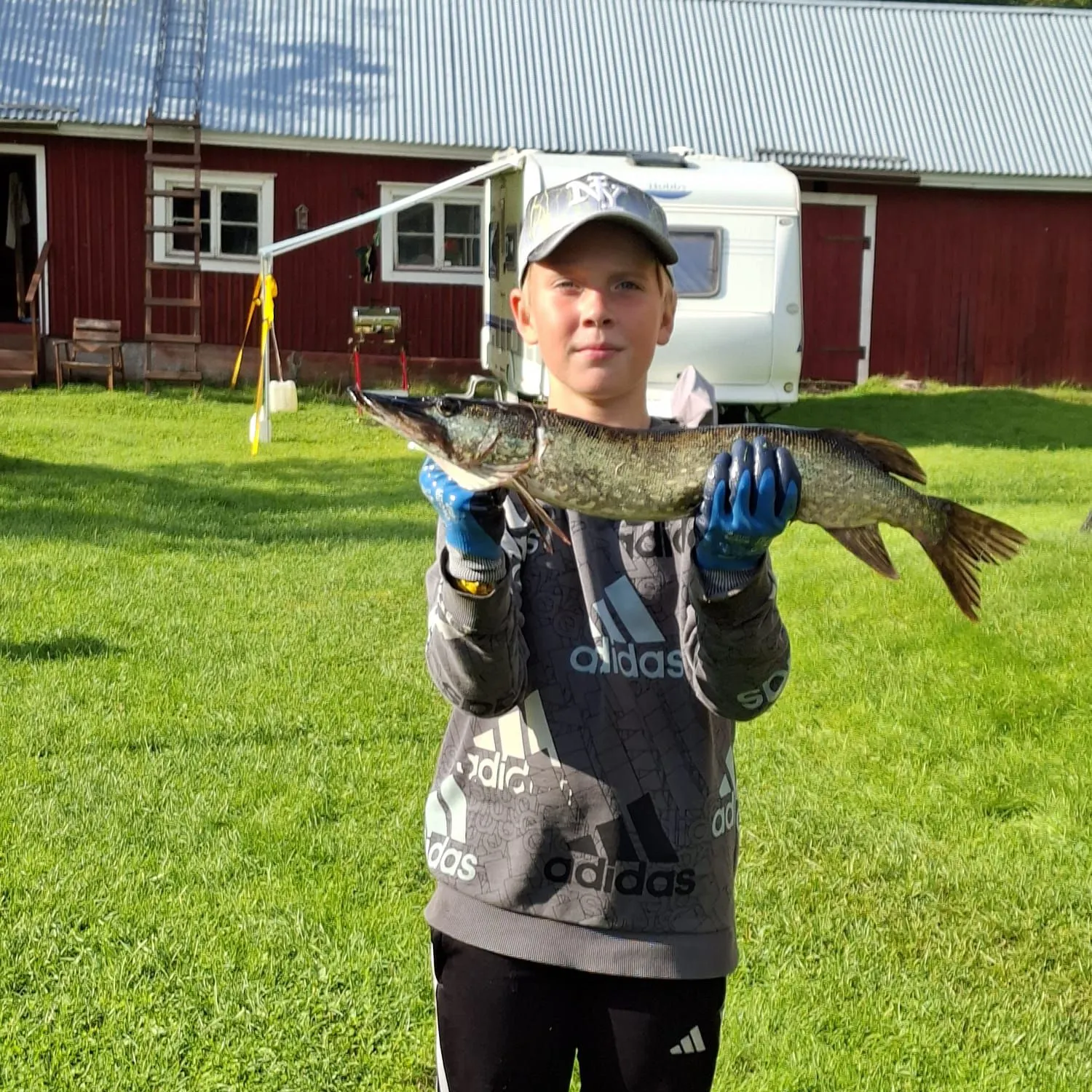 Northern pike caught on Fishbrain