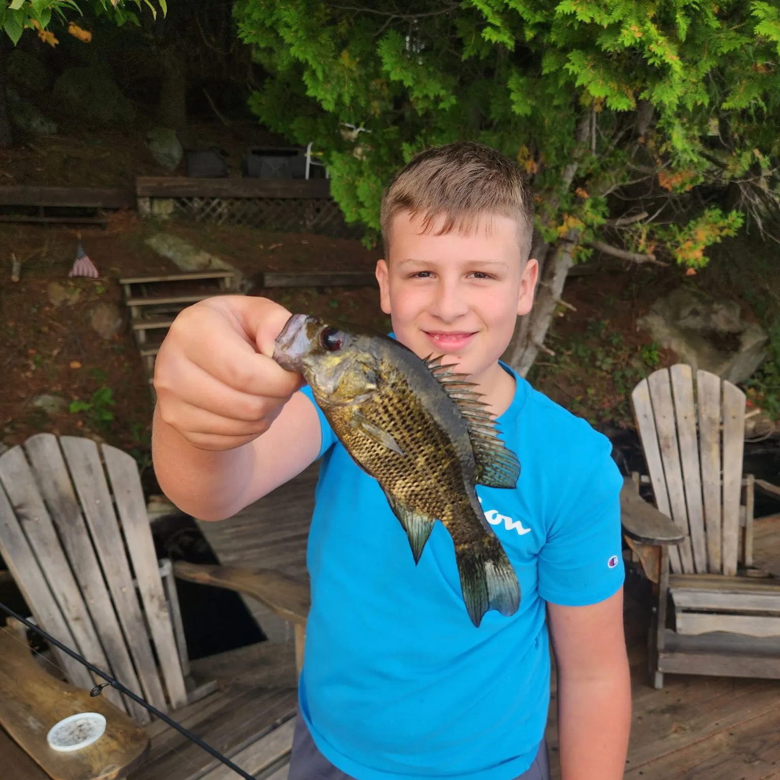 Rock bass caught on Fishbrain