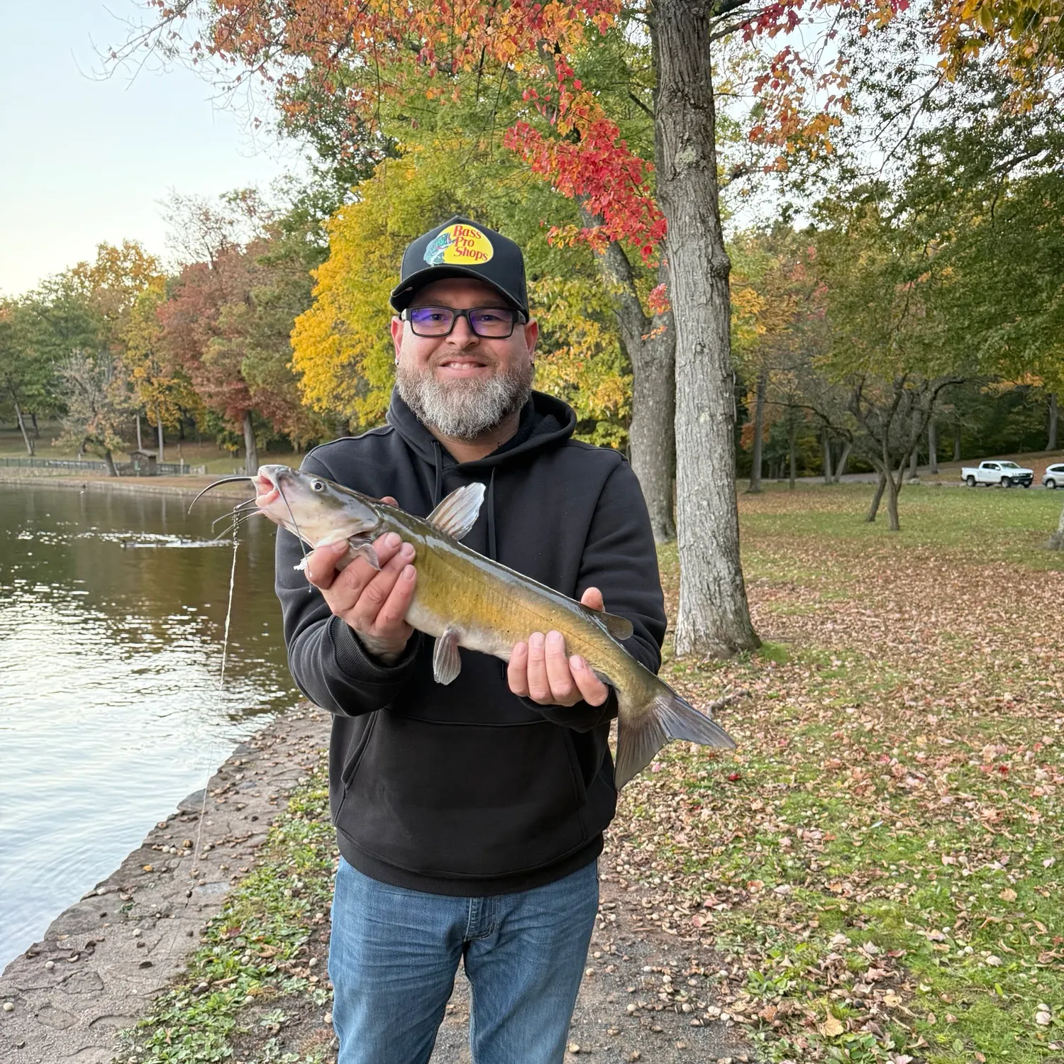Channel catfish caught on Fishbrain