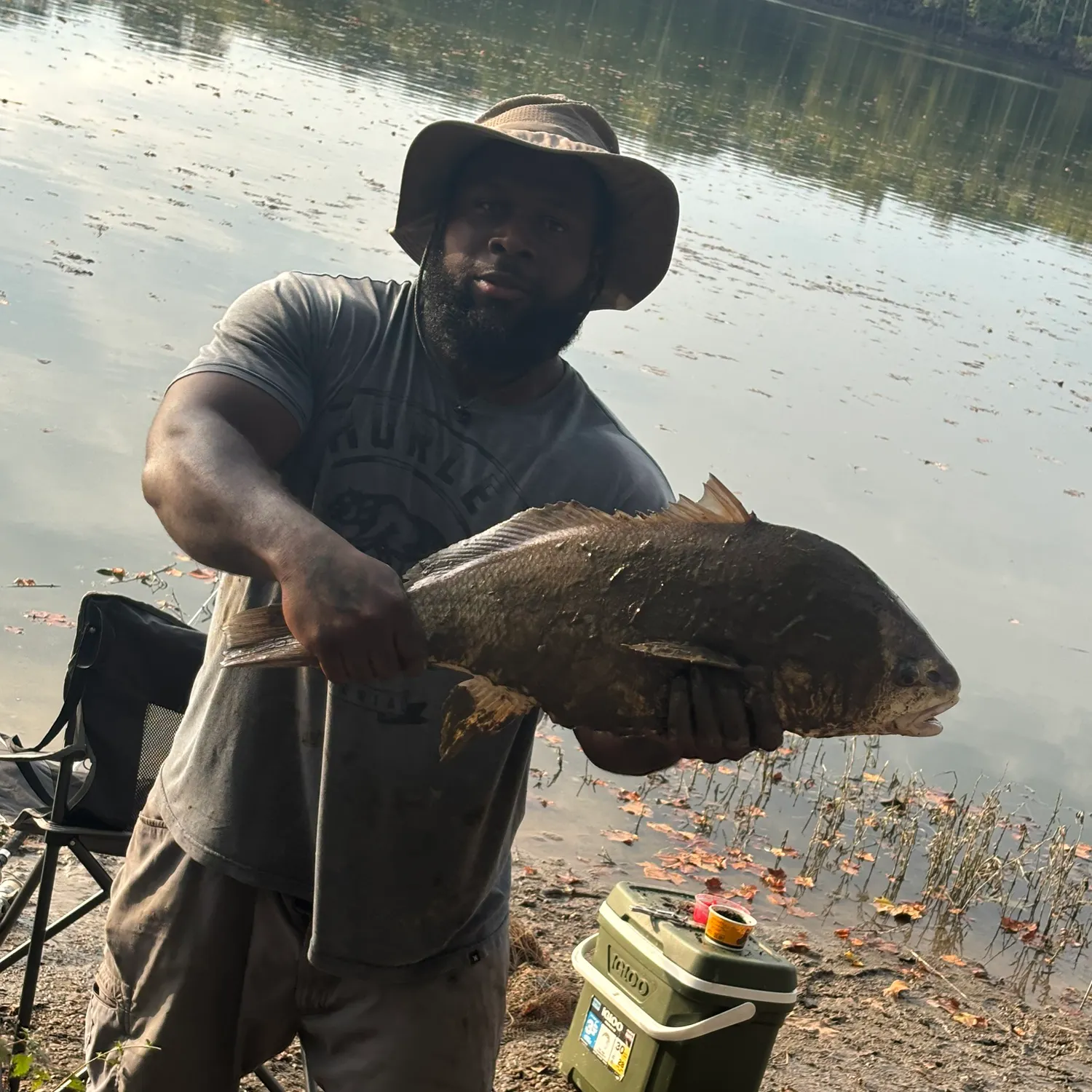 Freshwater drum caught on Fishbrain