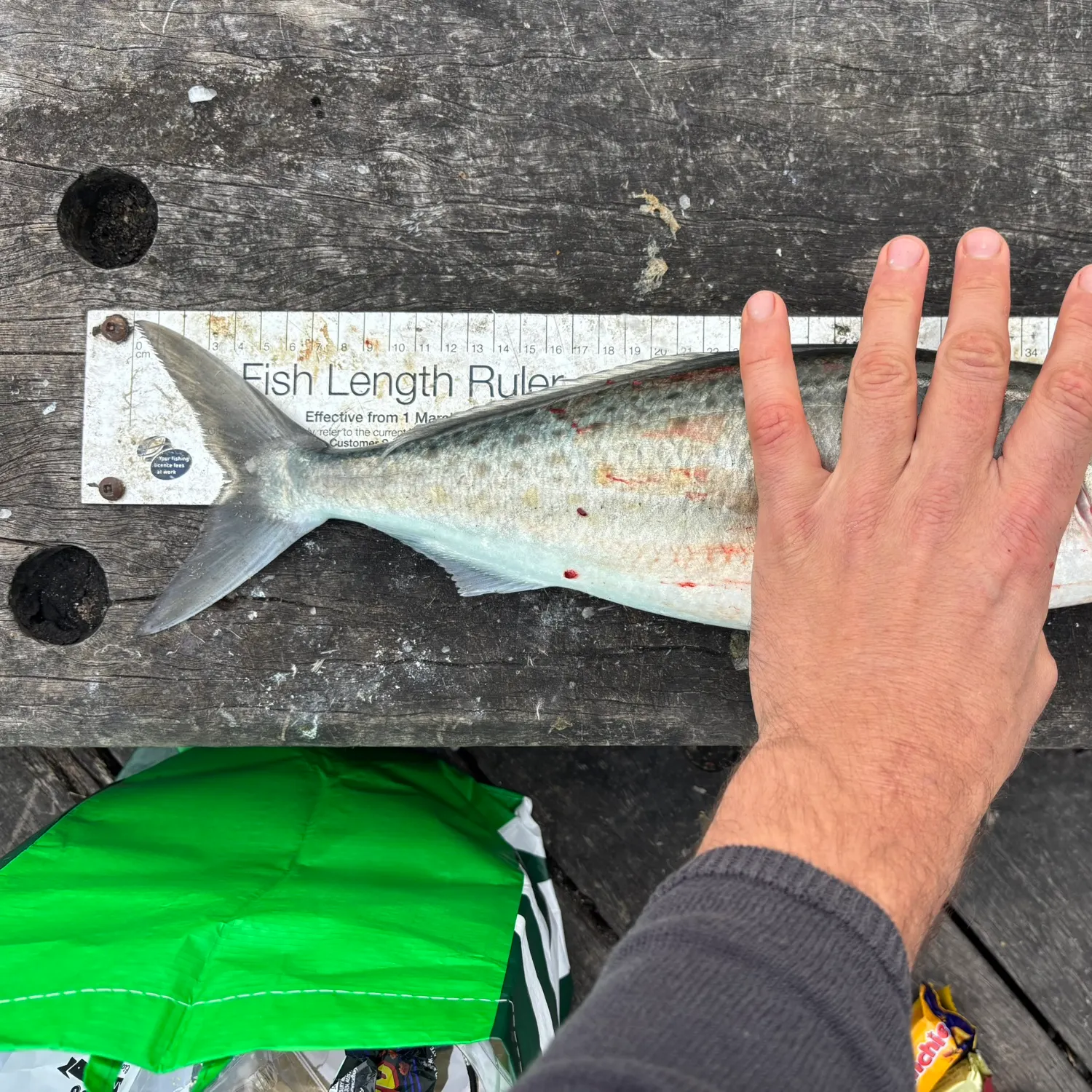 recently logged catches