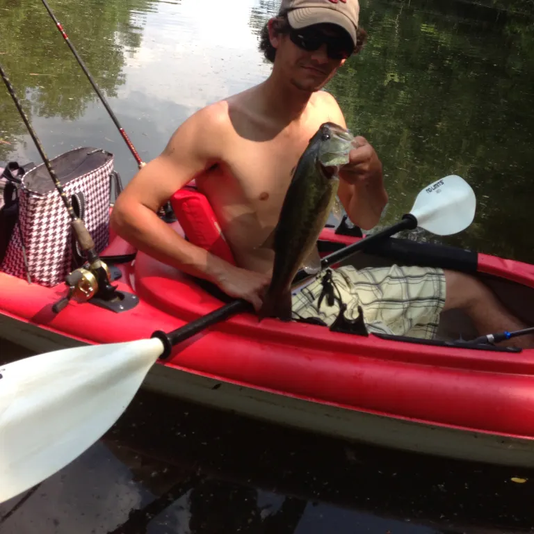 angler catch