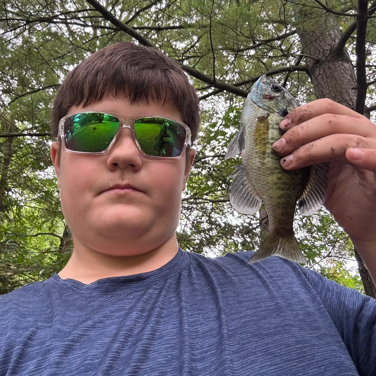 Bluegill caught on Fishbrain