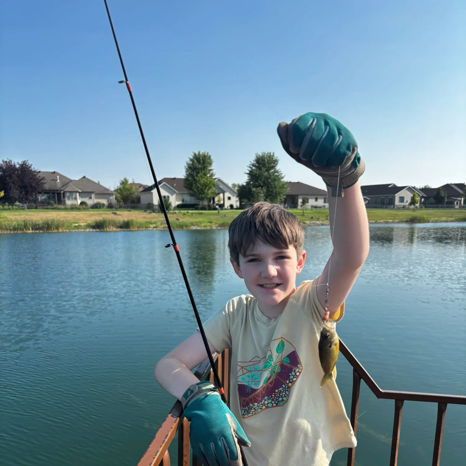 Bluegill caught on Fishbrain