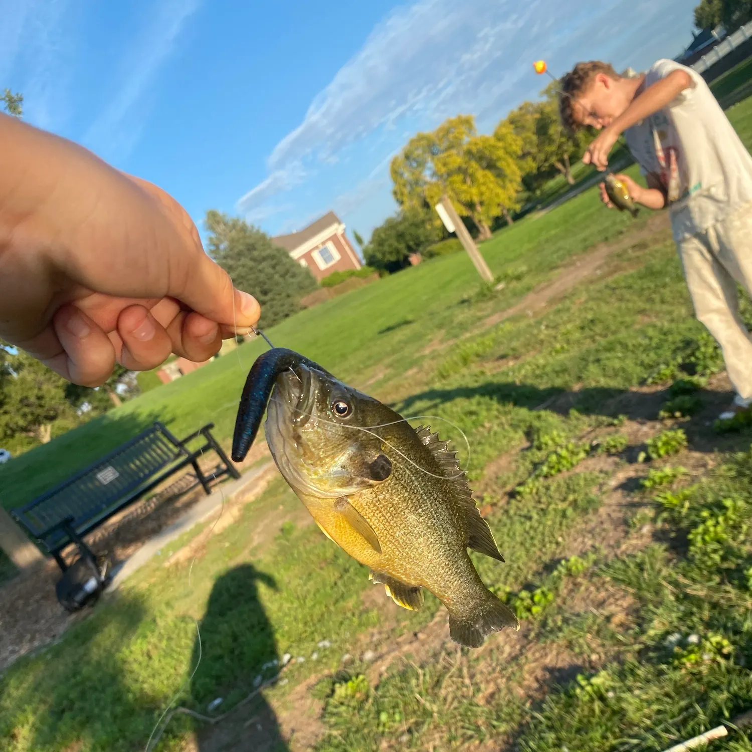 catch