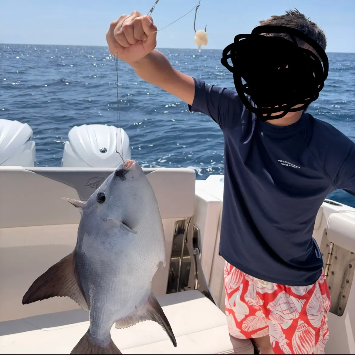 The most recent Grey triggerfish catches on Fishbrain