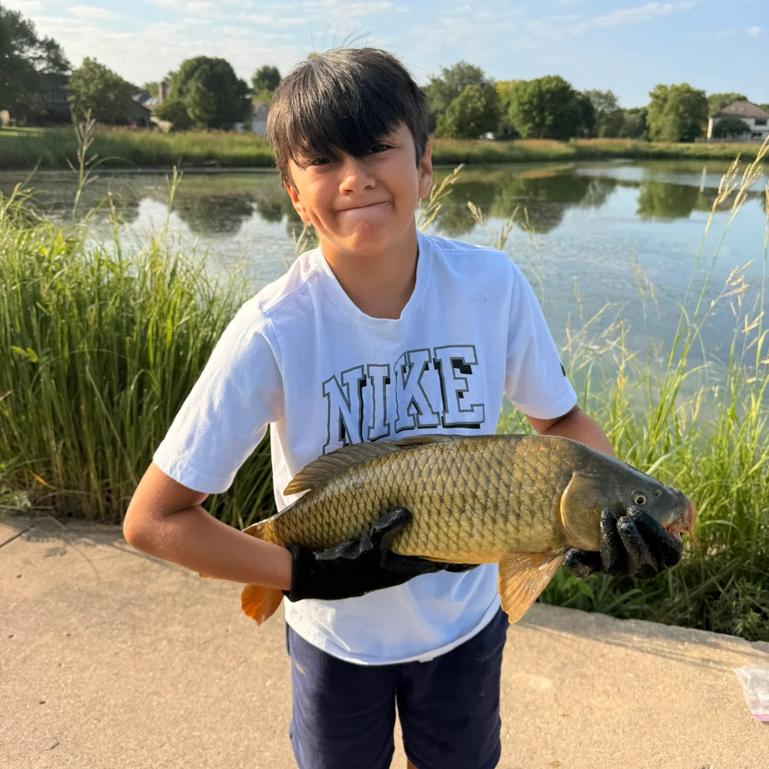 Common carp caught on Fishbrain