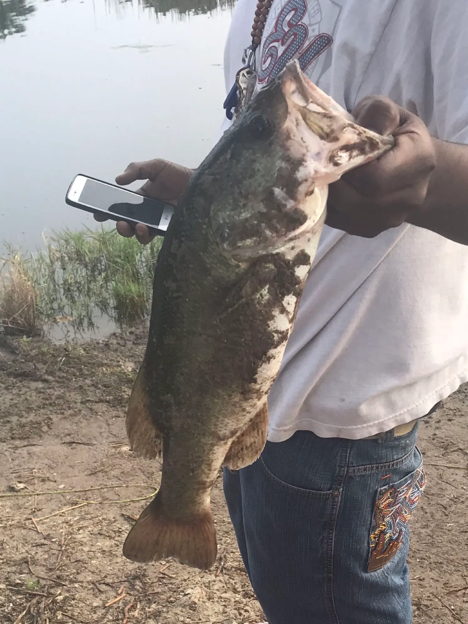 Post image from js1999