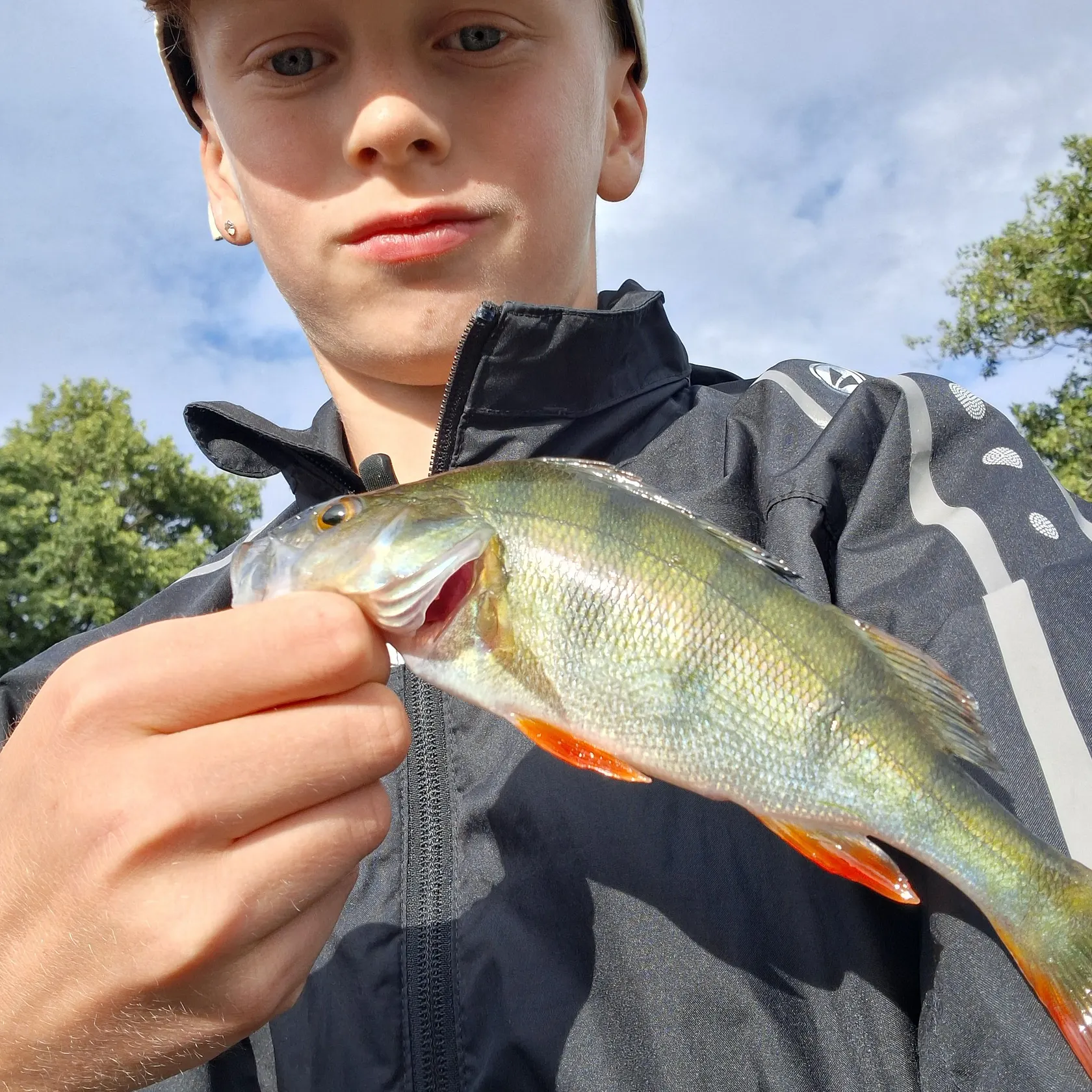 European perch caught on Fishbrain