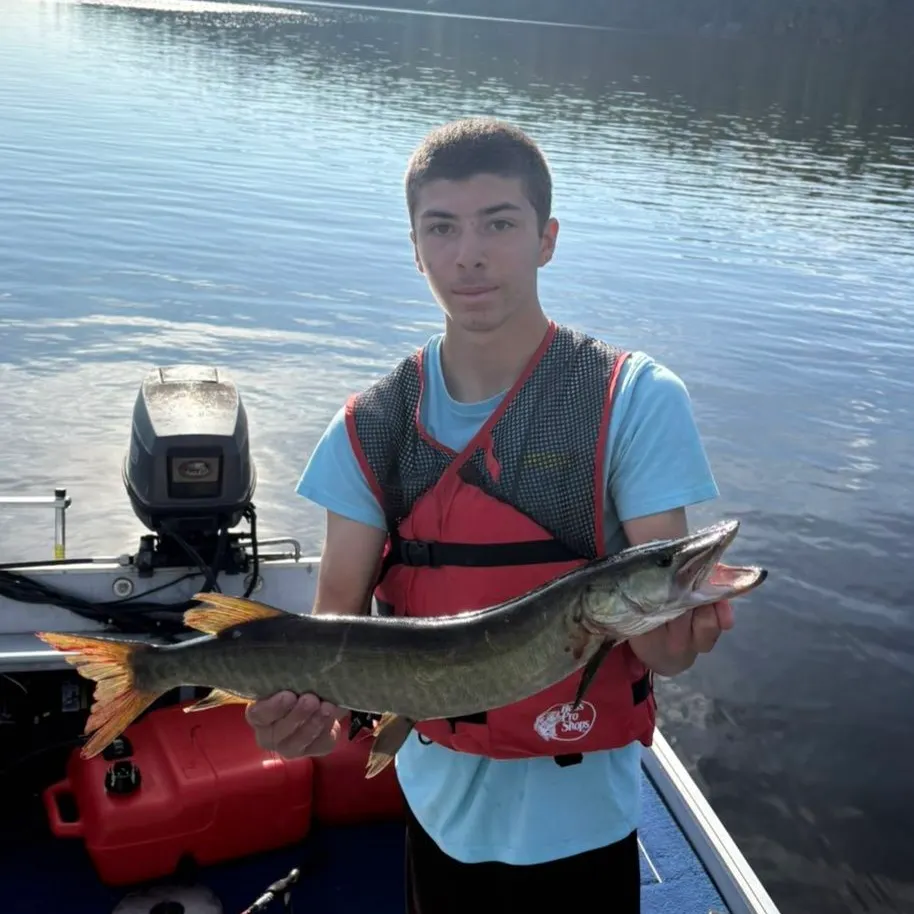 Muskie caught on Fishbrain