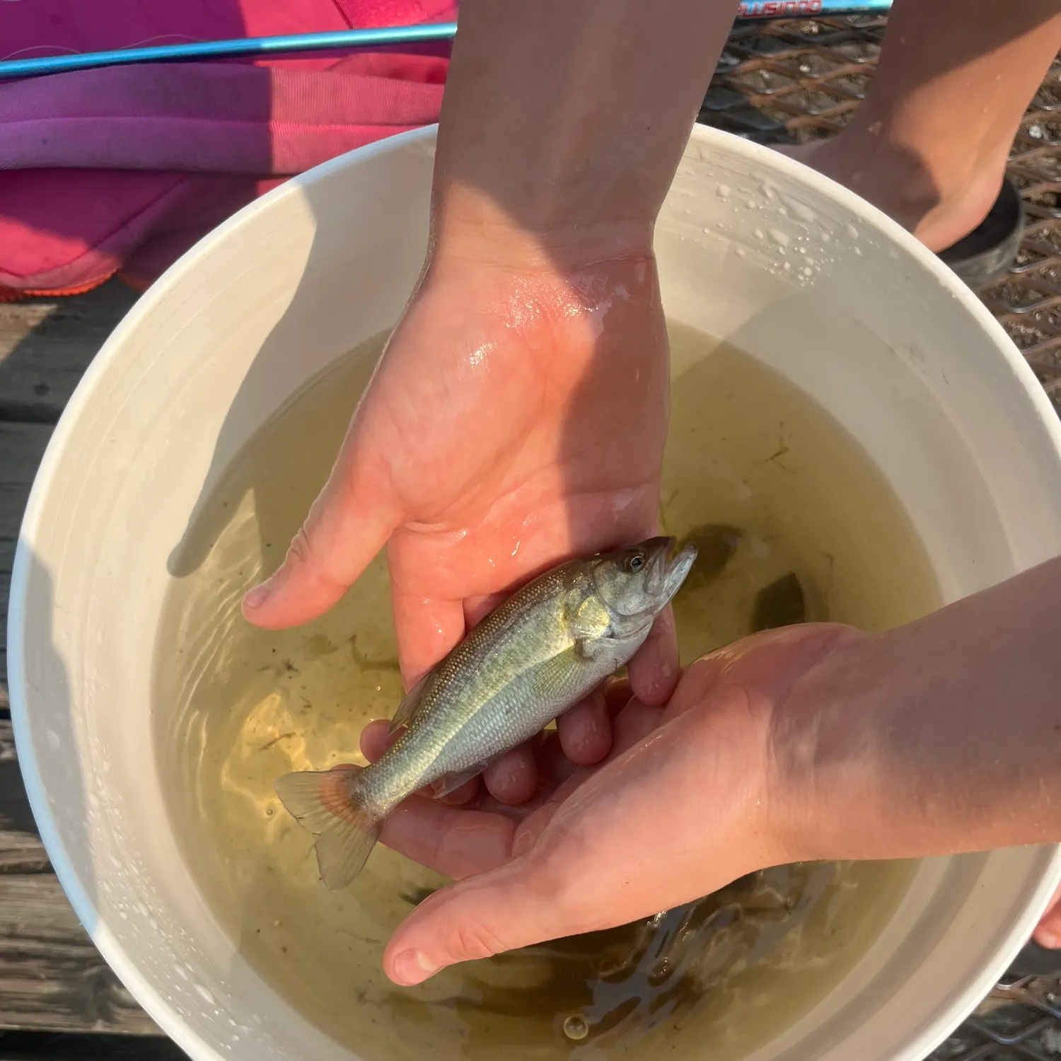 catch