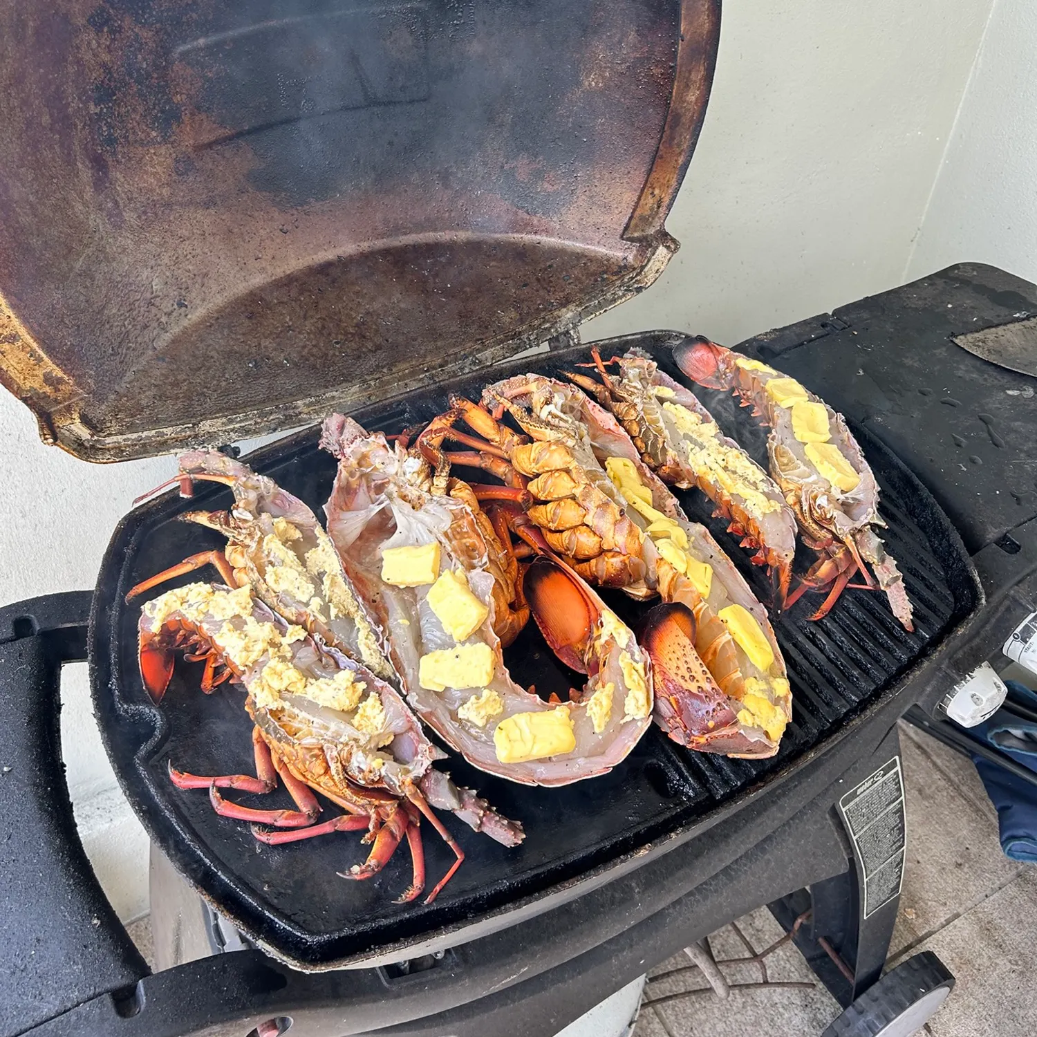The most recent Eastern rock lobster catches on Fishbrain