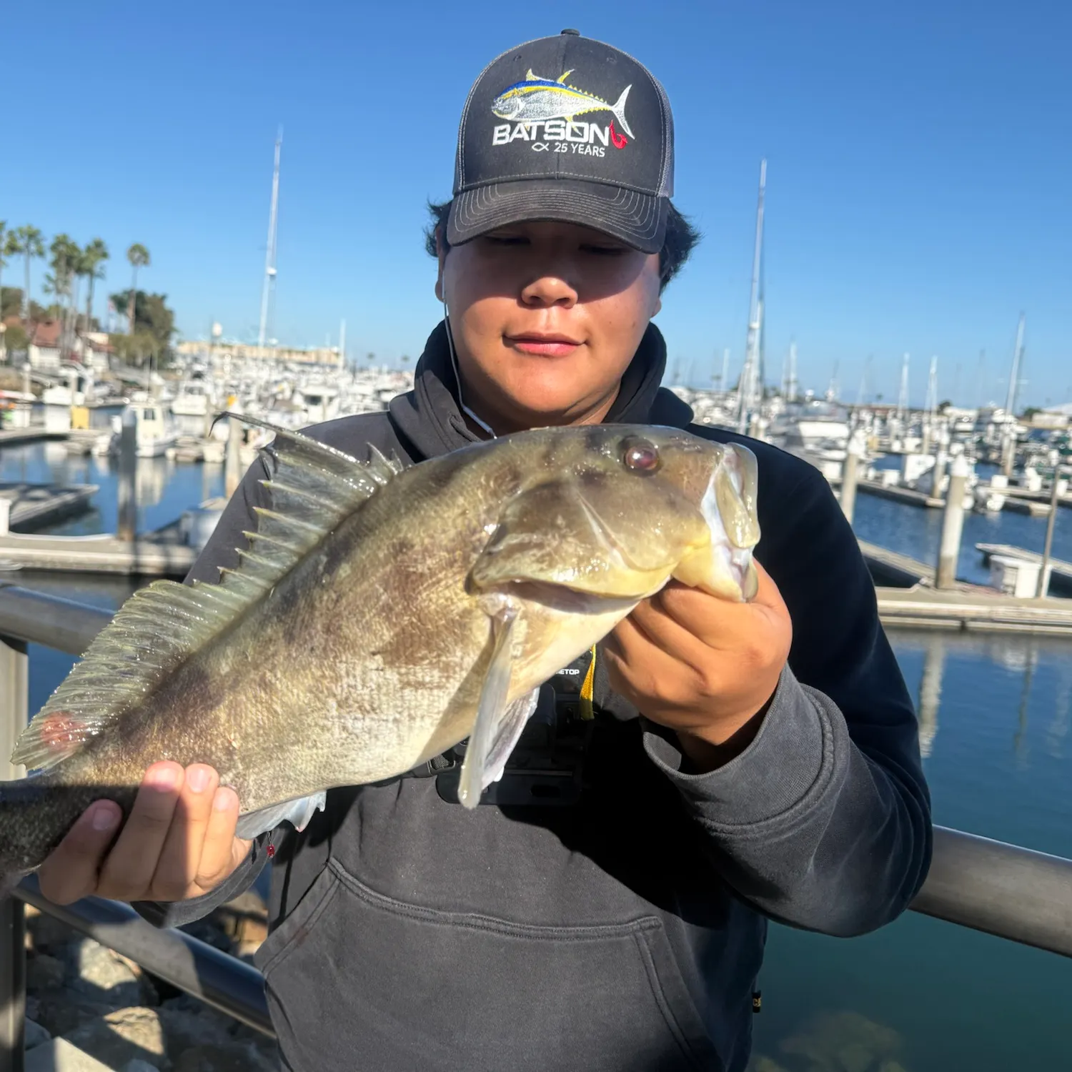 The most recent Barred sand bass catches on Fishbrain