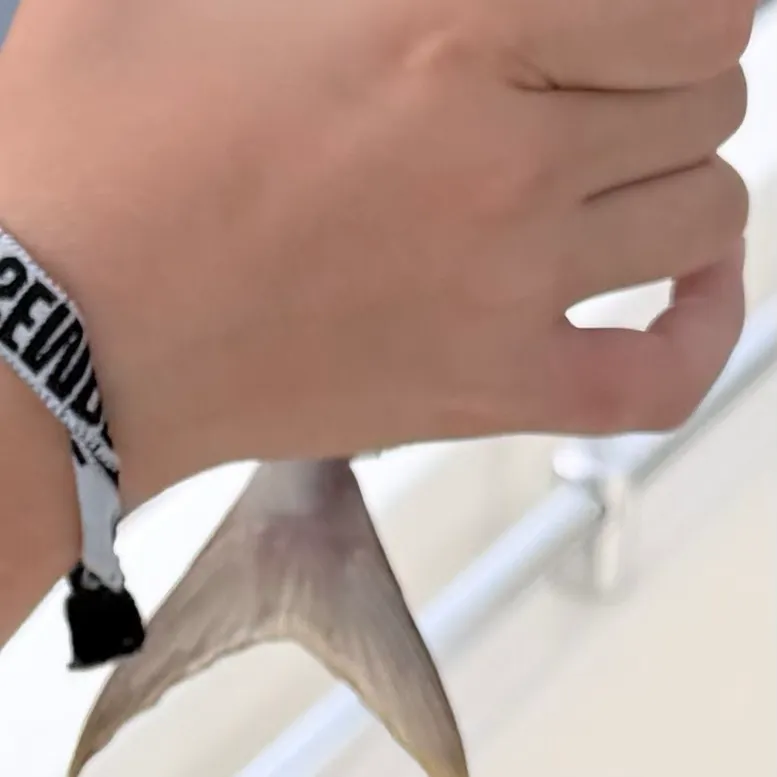 The most recent Almaco jack catches on Fishbrain