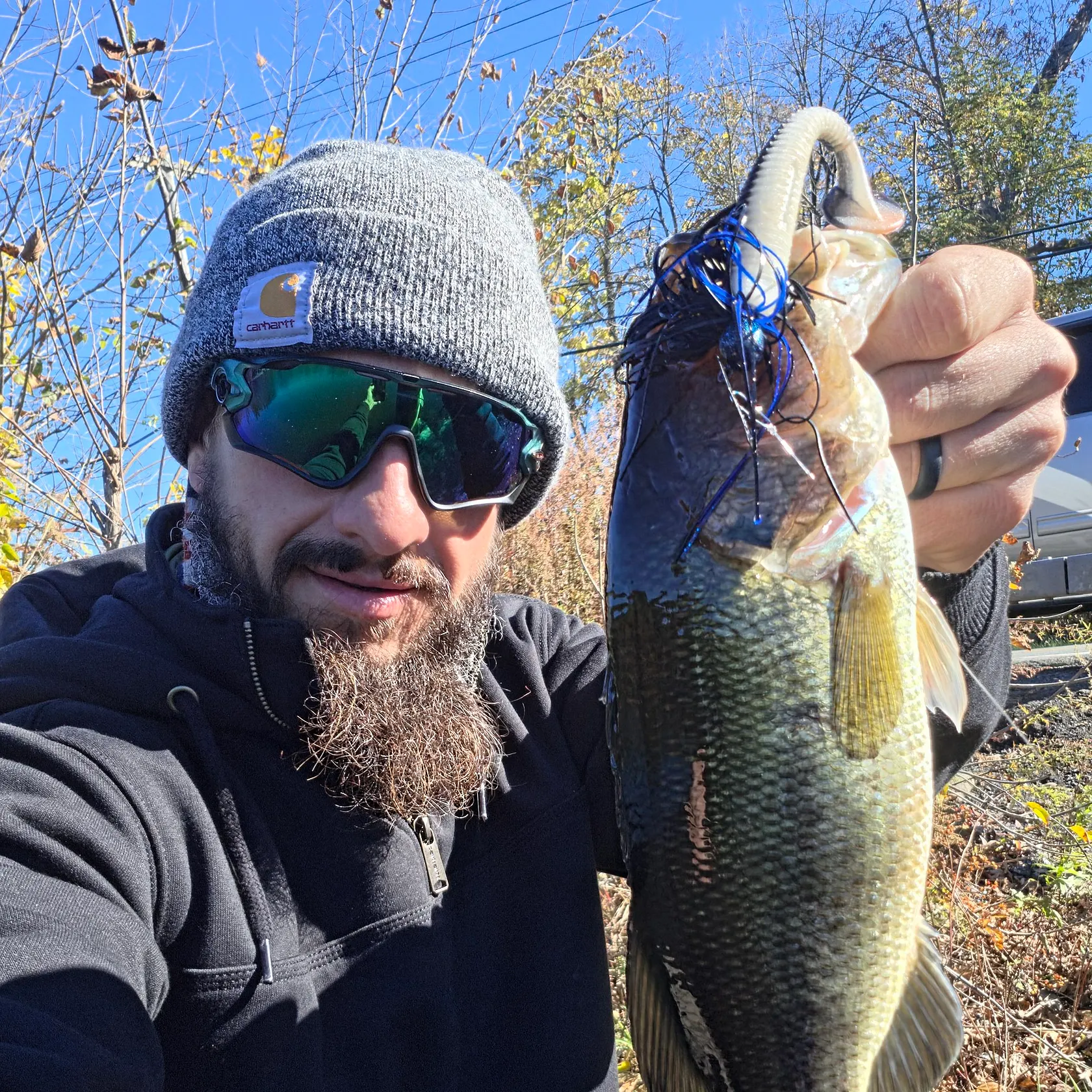 Largemouth bass caught on Fishbrain