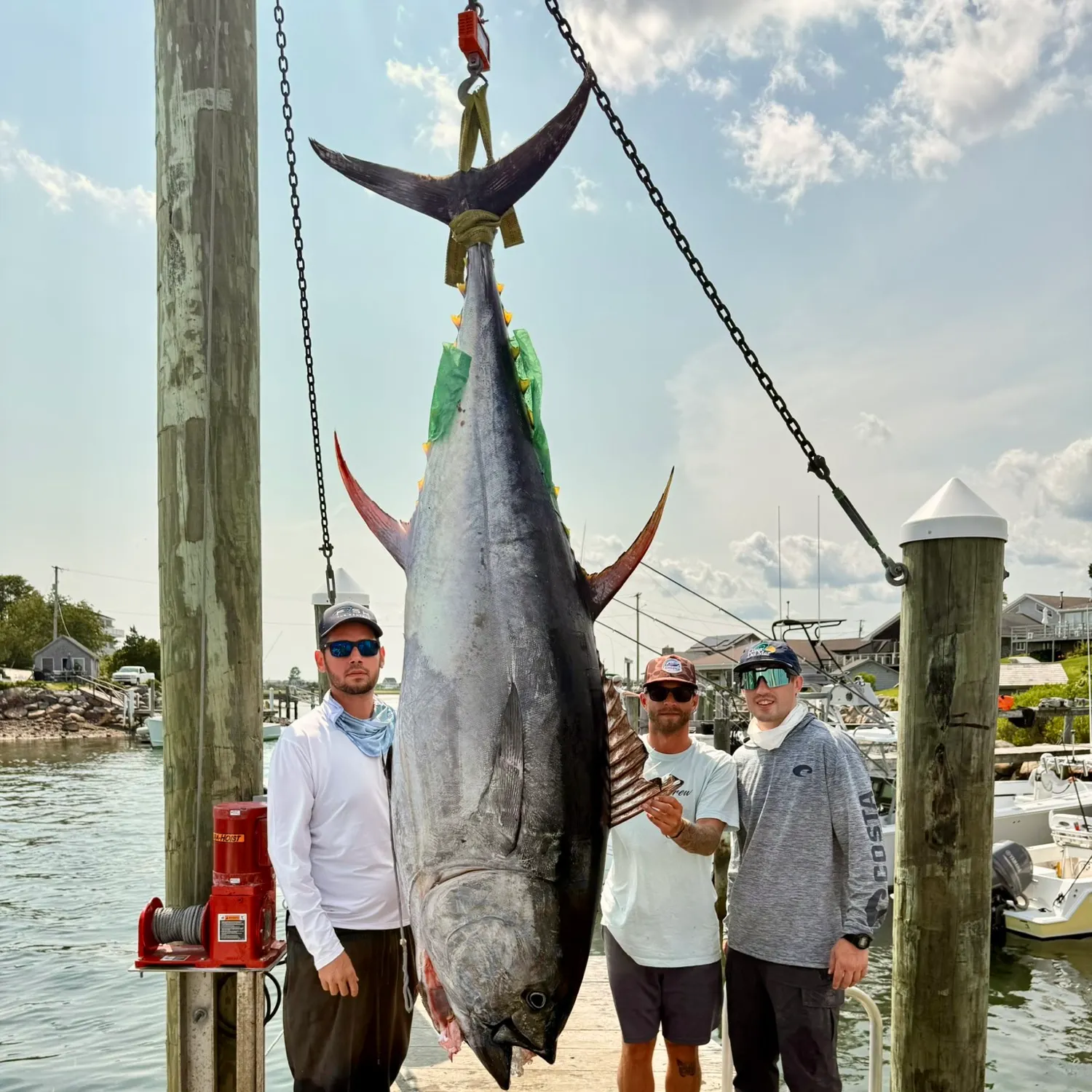 The most recent Atlantic bluefin tuna catches on Fishbrain