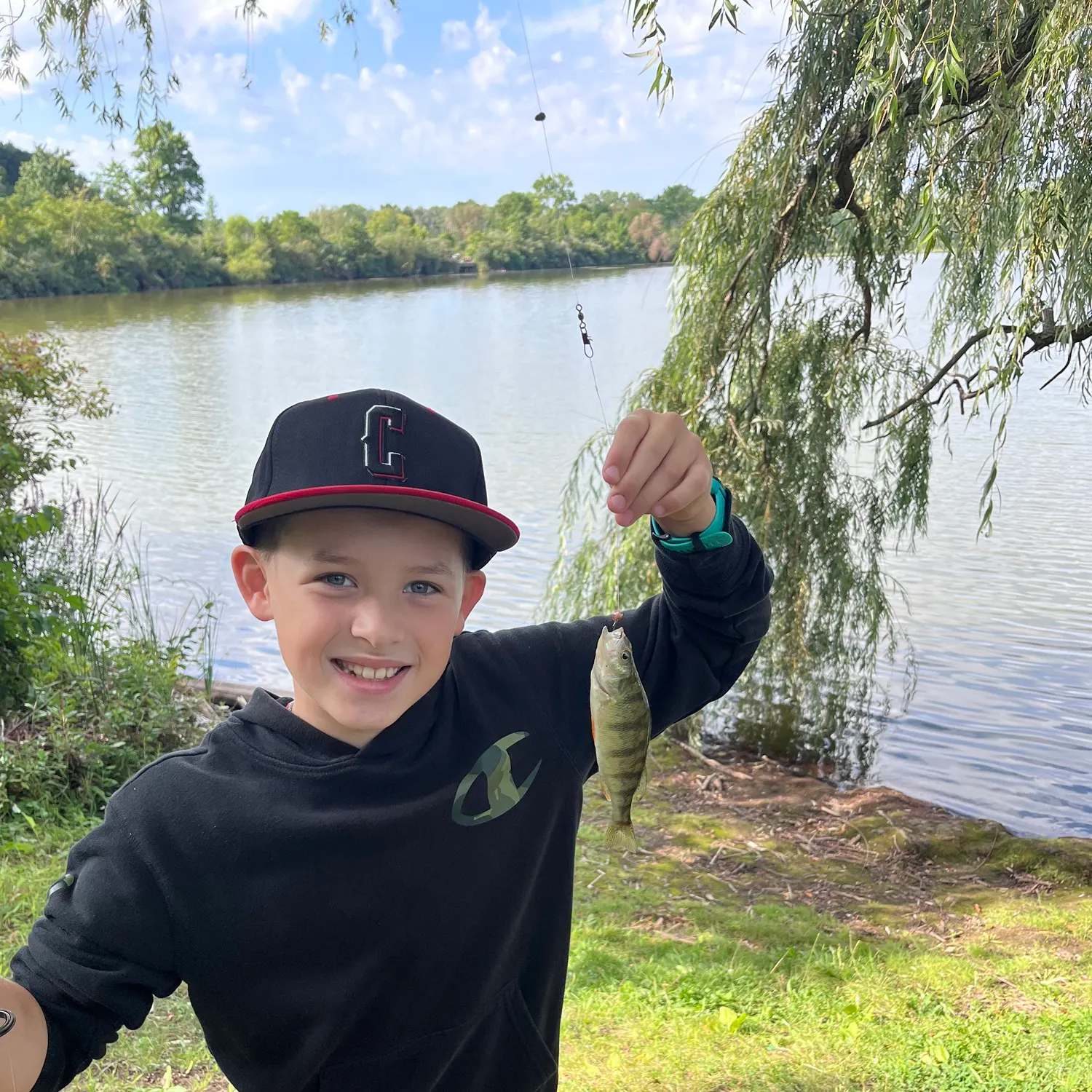 Yellow perch caught on Fishbrain