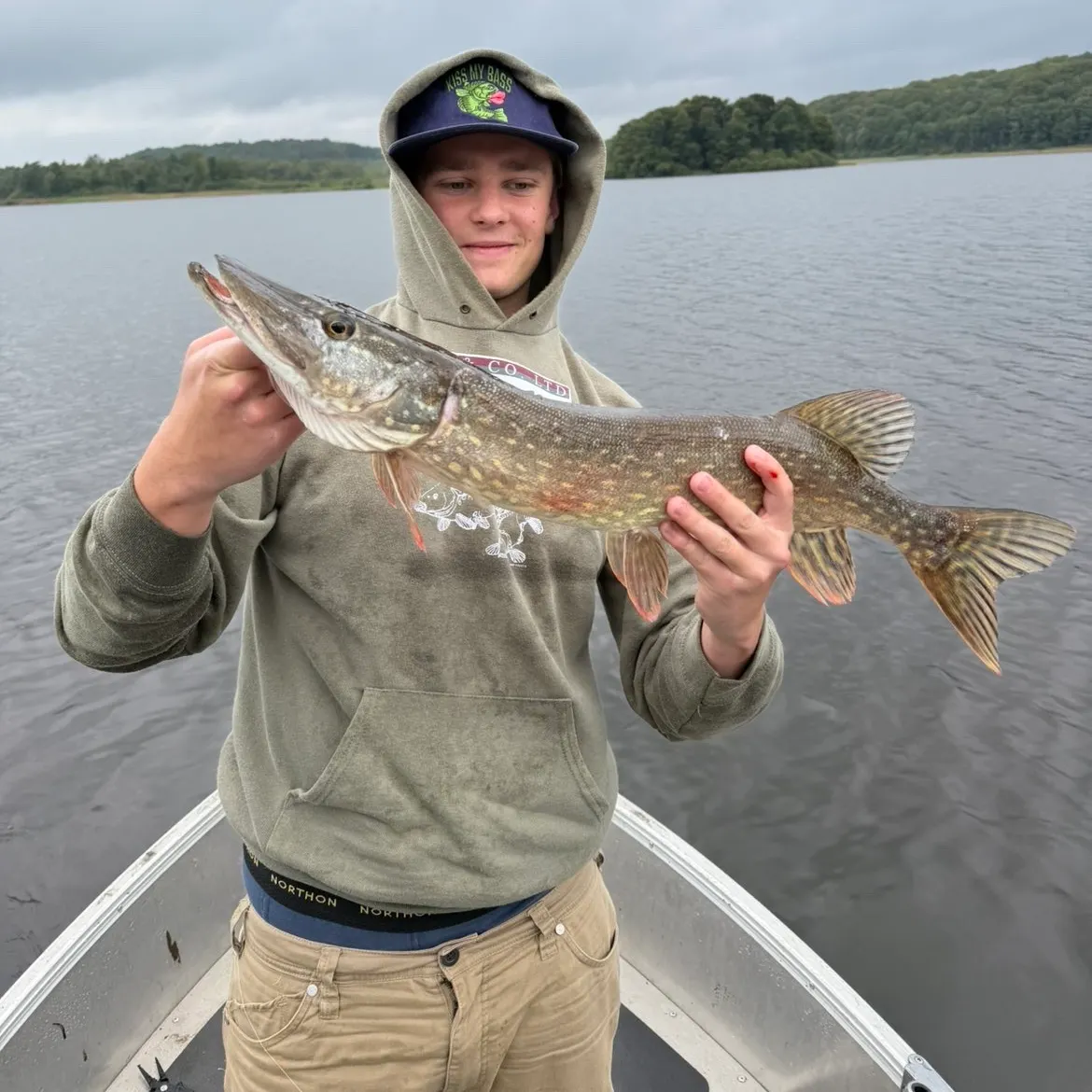 Northern pike caught on Fishbrain