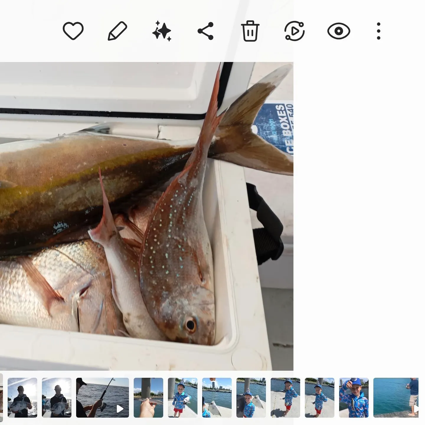 The most recent Samsonfish catches on Fishbrain