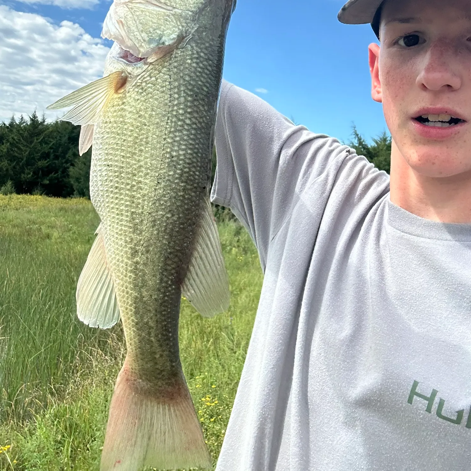 Largemouth bass caught on Fishbrain
