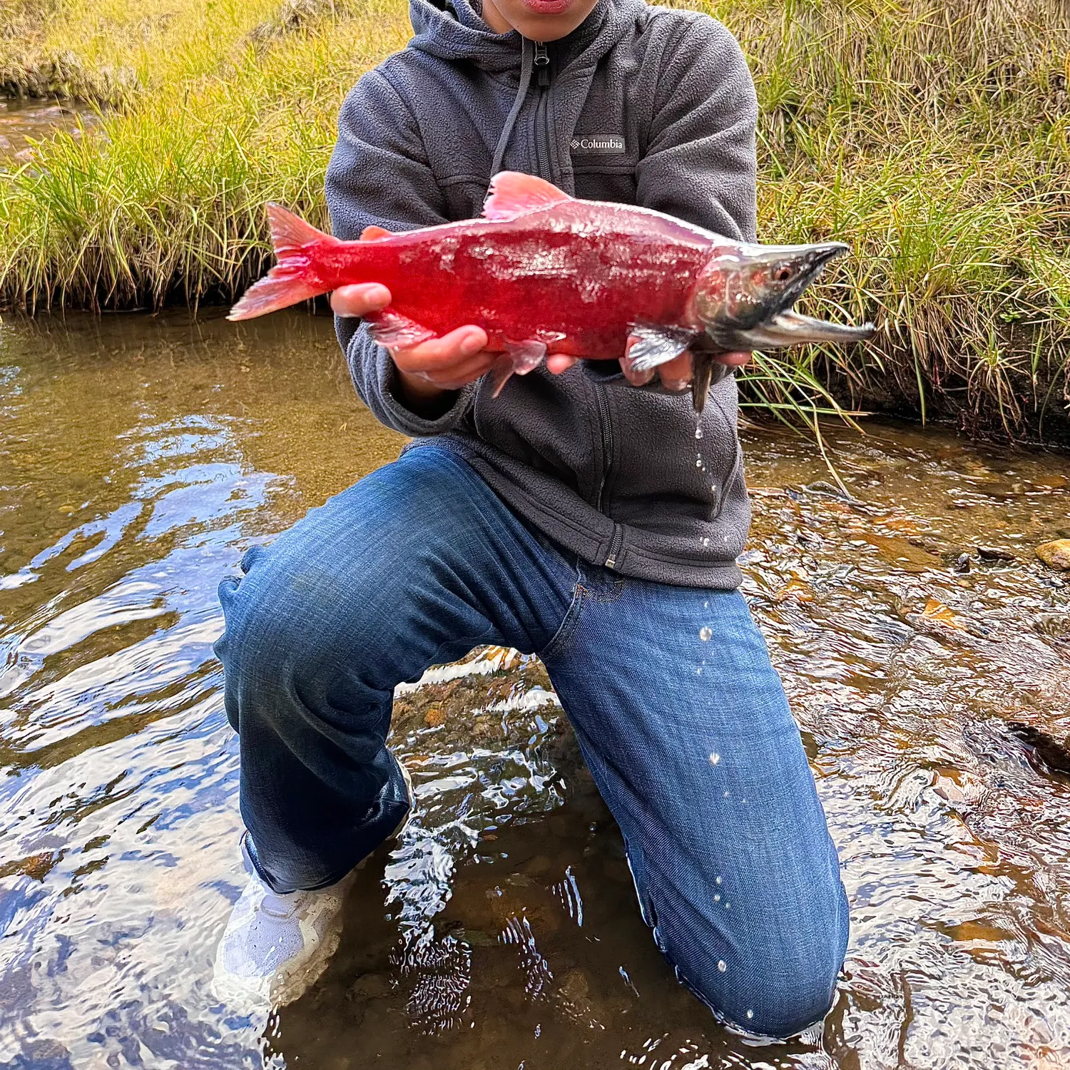 Kokanee salmon caught on Fishbrain