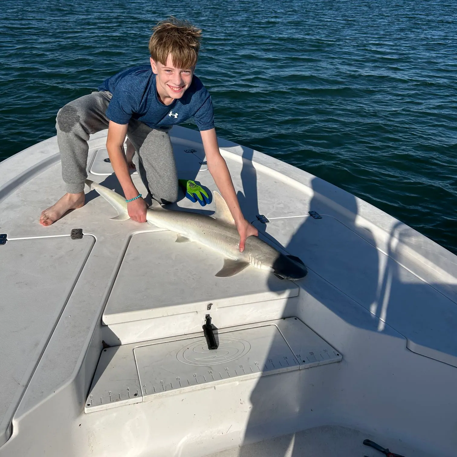 The most recent Bonnethead shark catches on Fishbrain