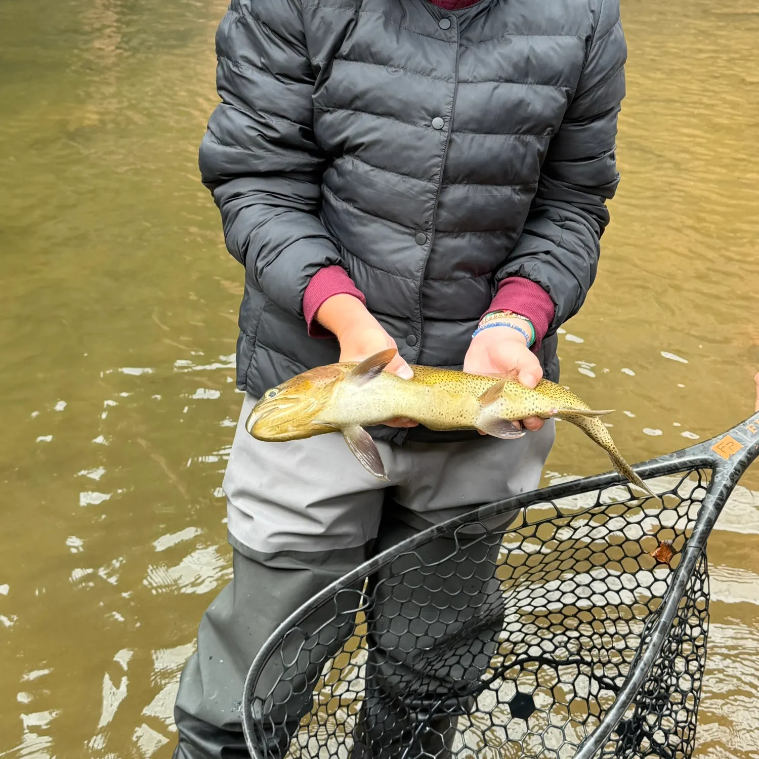 The most recent Snake River fine-spotted cutthroat trout catches on Fishbrain