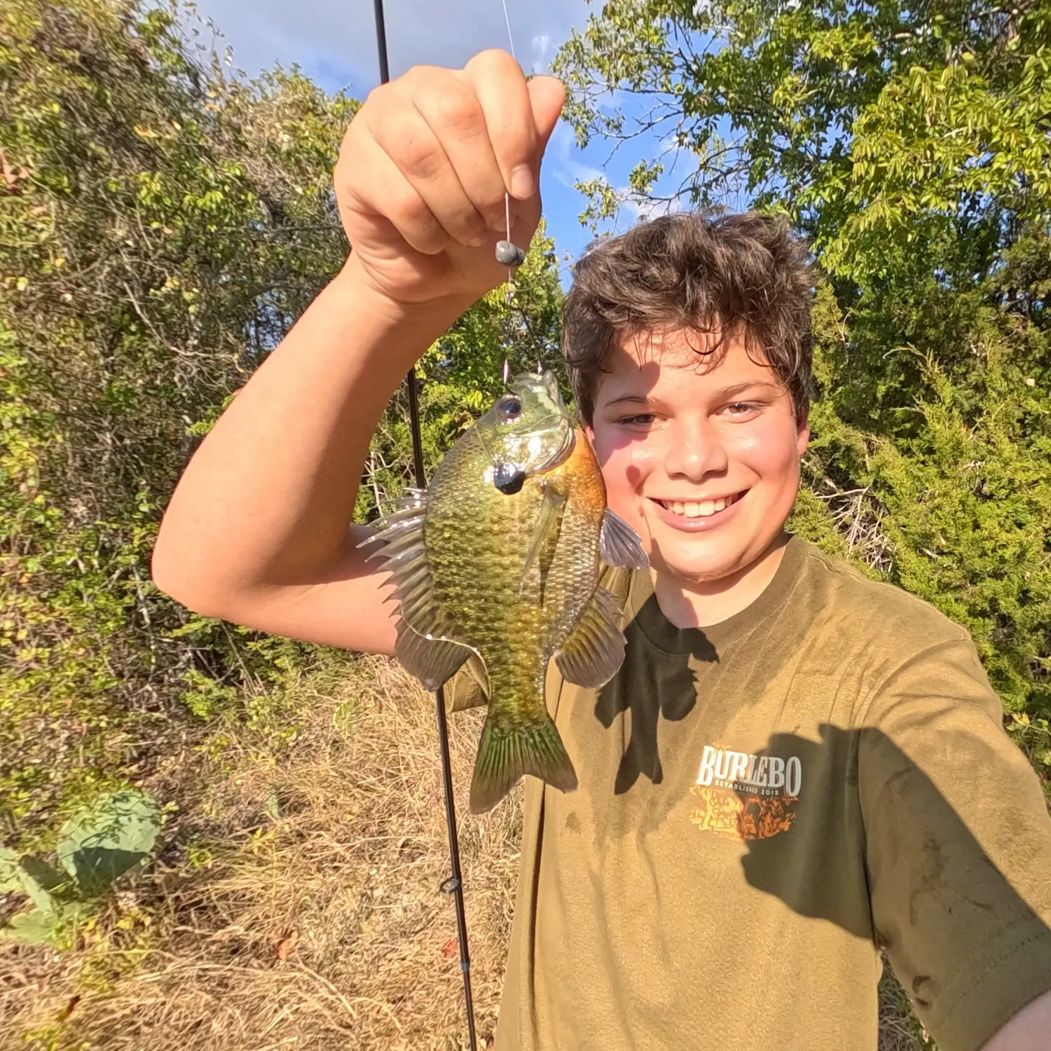 Bluegill caught on Fishbrain