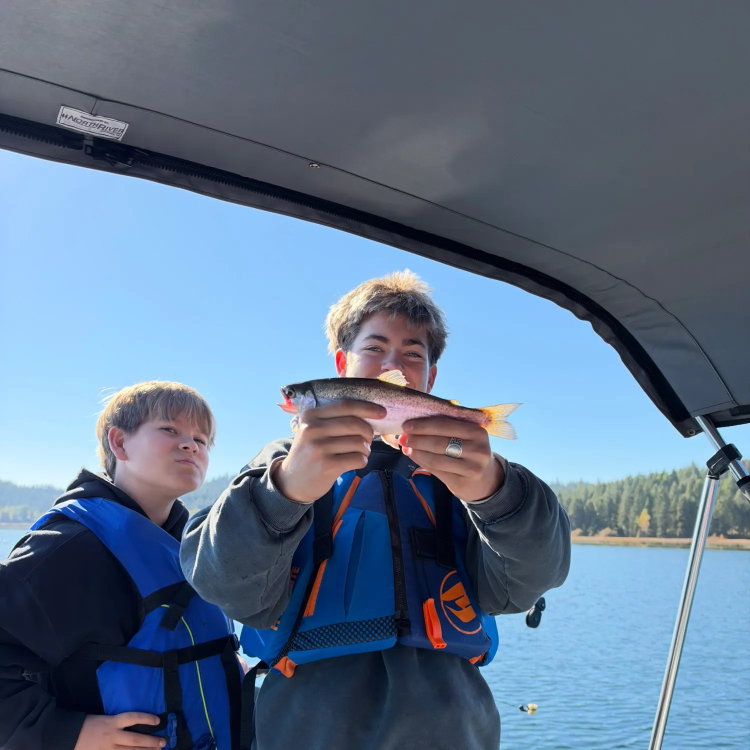 Rainbow trout caught on Fishbrain