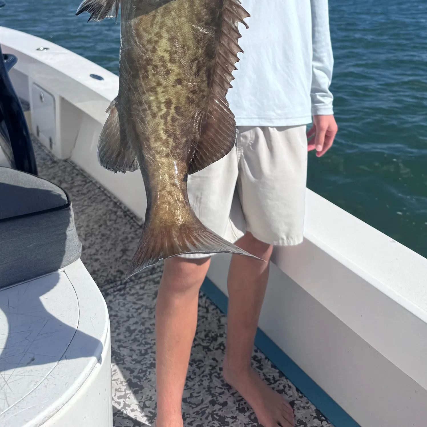 The most recent Gag grouper catches on Fishbrain