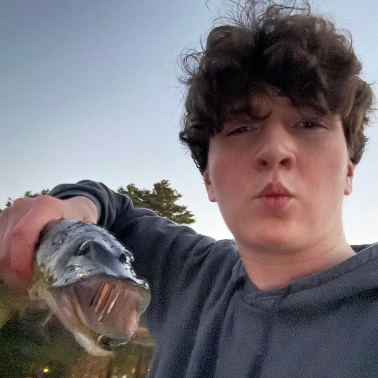 Chain pickerel caught on Fishbrain