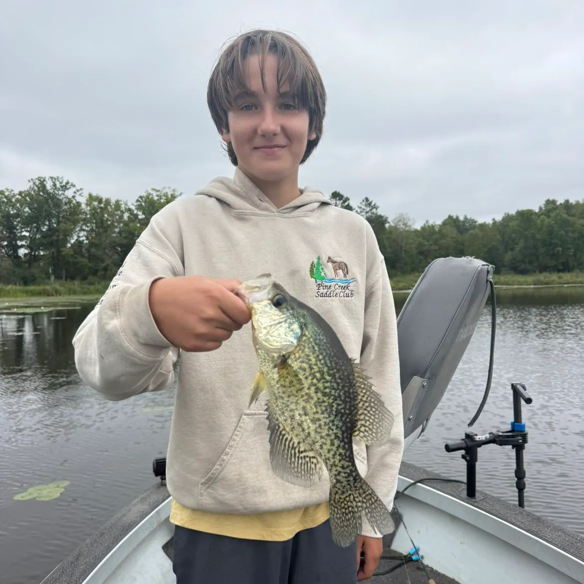 Black crappie caught on Fishbrain
