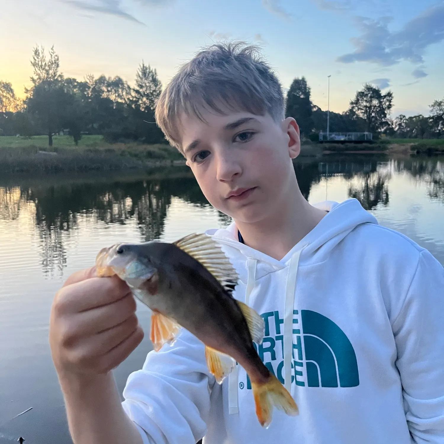 European perch caught on Fishbrain