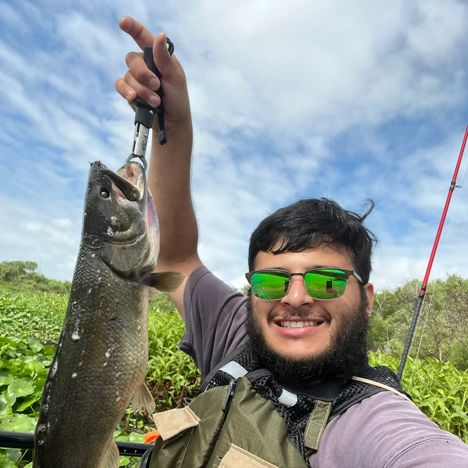 The most recent Ruddy bowfin catches on Fishbrain