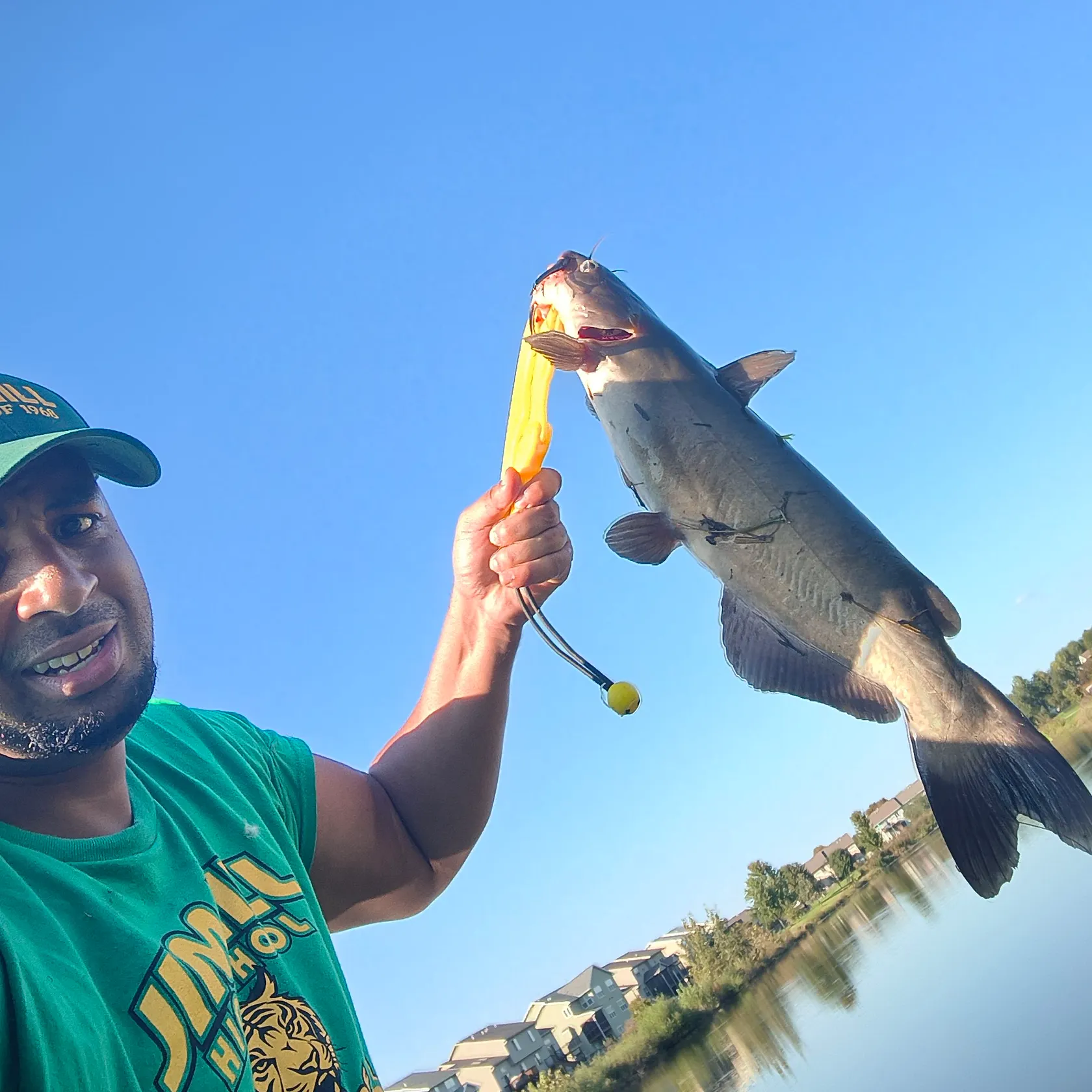 Channel catfish caught on Fishbrain