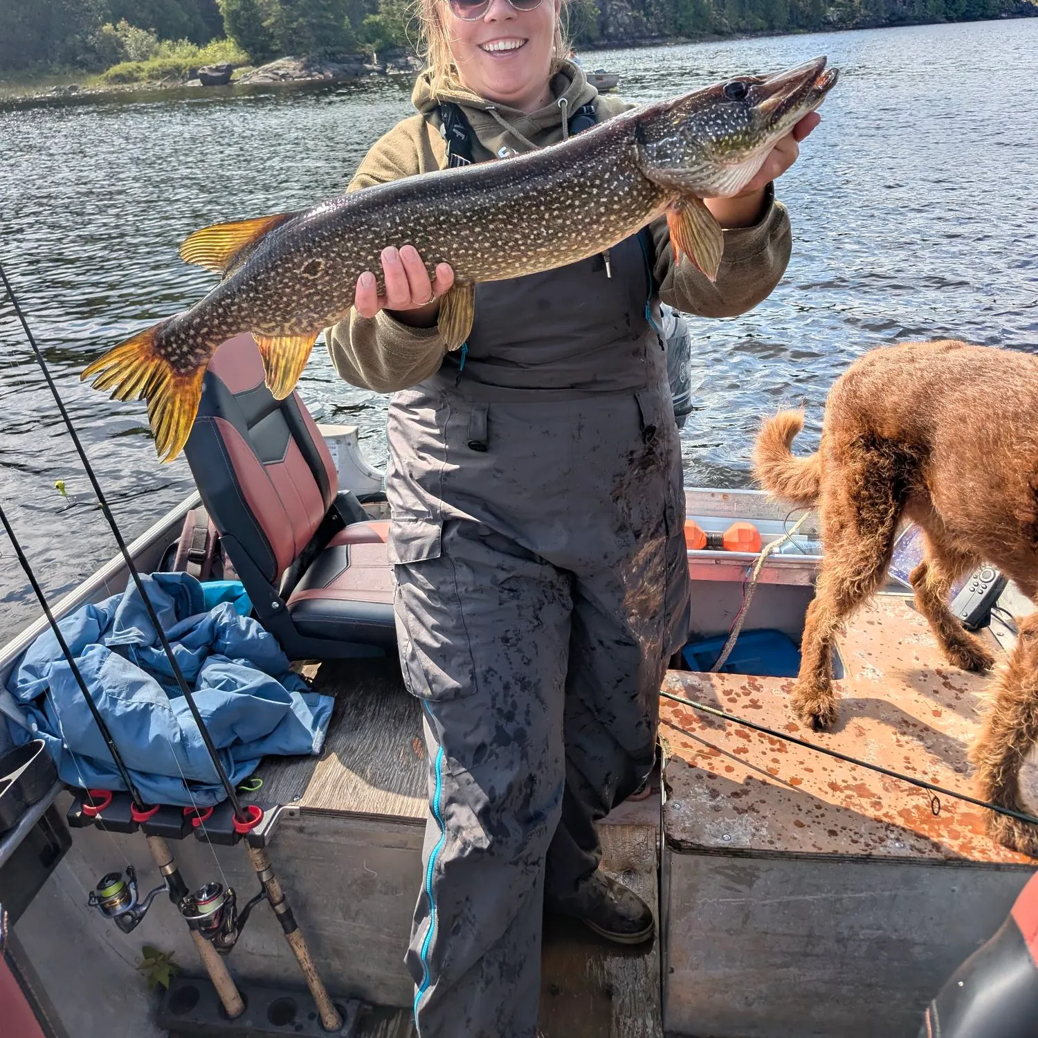 Northern pike caught on Fishbrain
