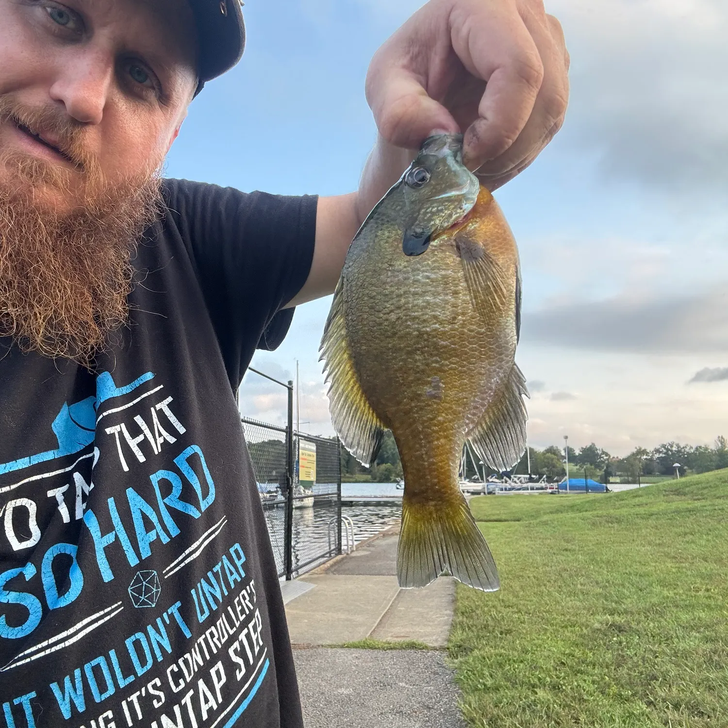 Bluegill caught on Fishbrain