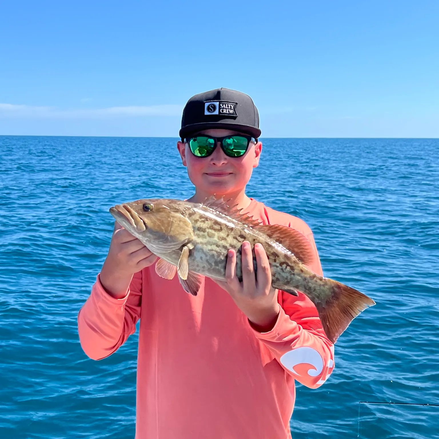 The most recent Areolate grouper catches on Fishbrain