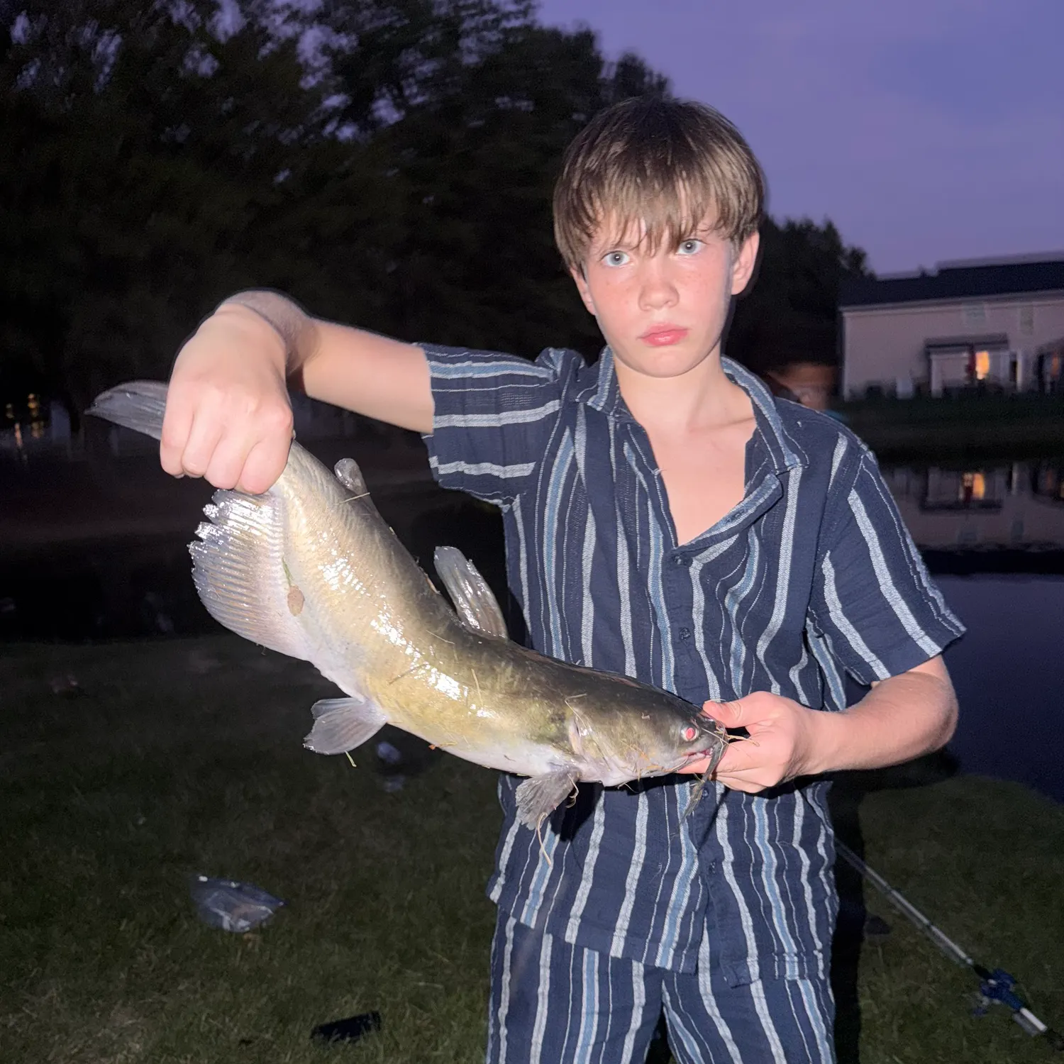 Channel catfish caught on Fishbrain